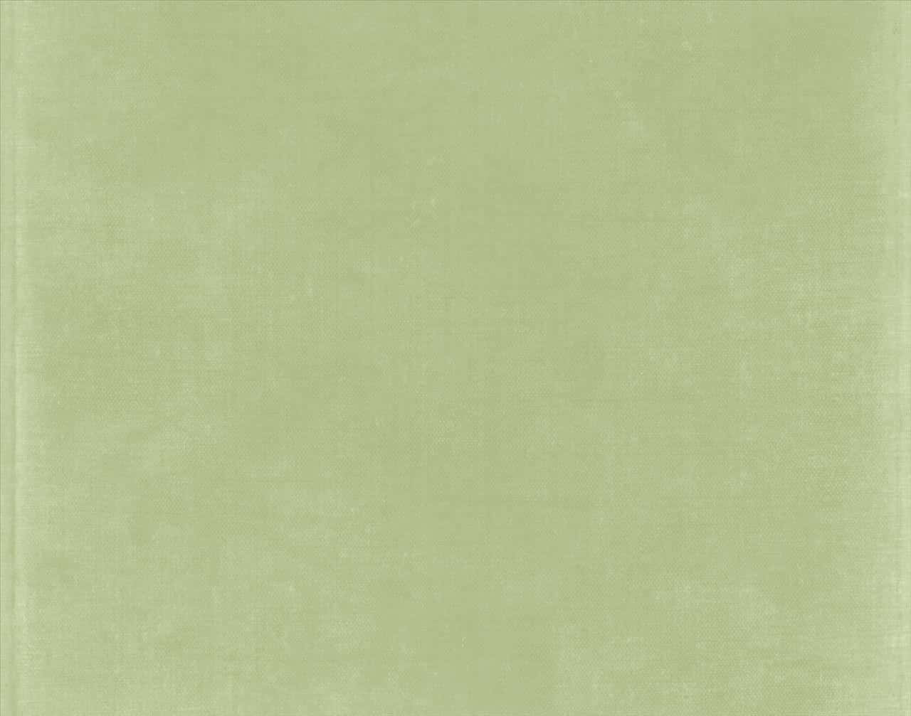 Rustige Saliegroen Estetiese Agtergrond Muurpapier