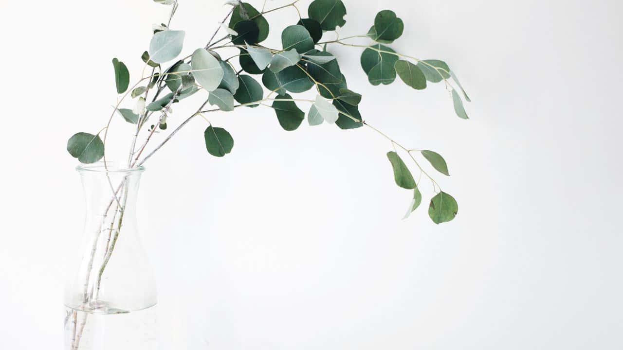 Rustige Sonderkoms oor Stil Water Muurpapier