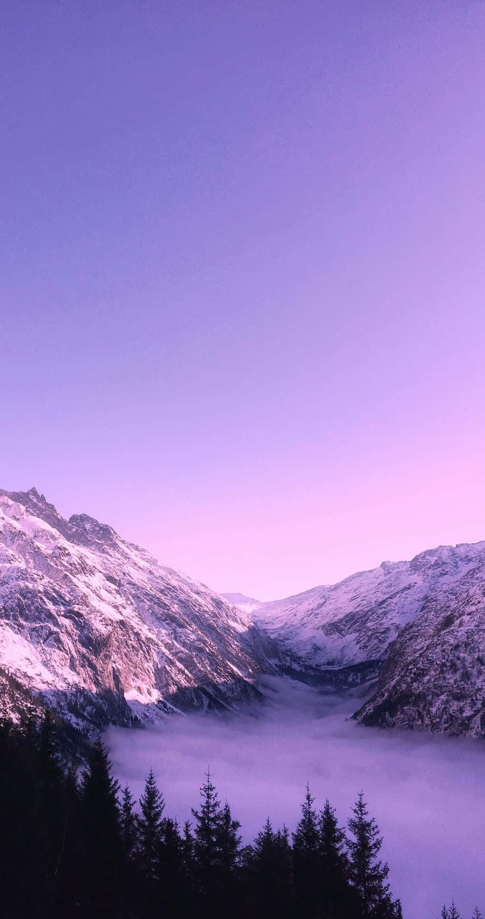 Natuur Estetika Foon — Pers estetiese GIF Muurpapier