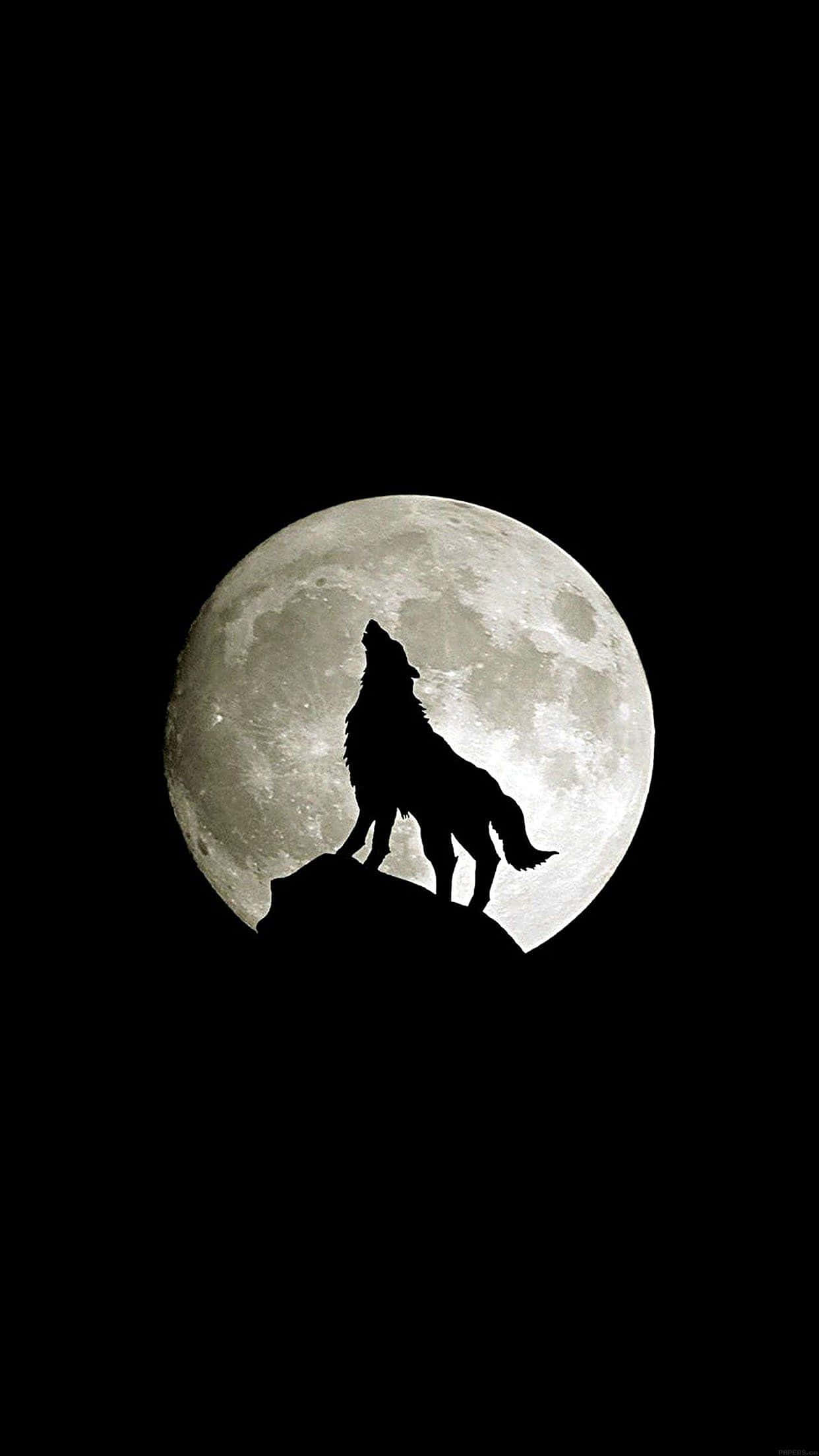 Ry deur die wildernis met Wolf iPhone Muurpapier