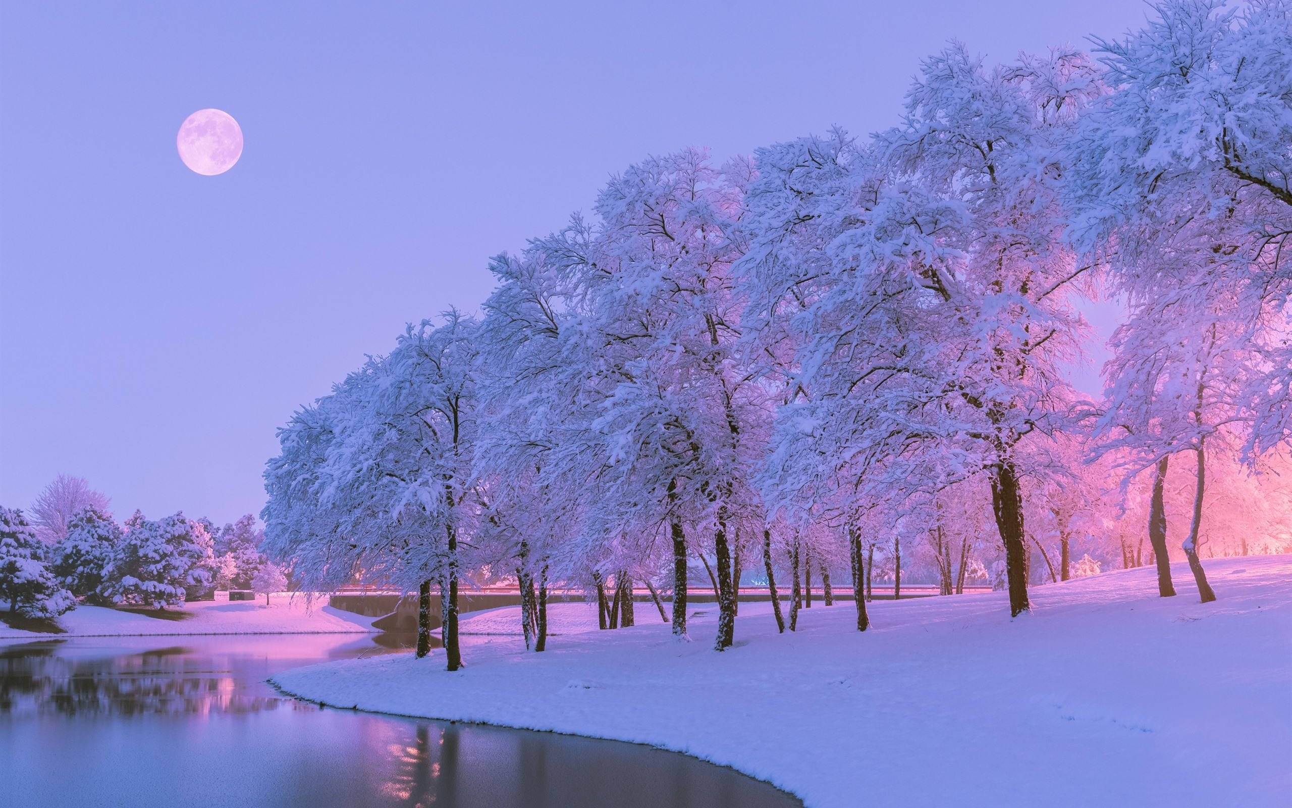 Sage Sneeuw Estetika Muurpapier