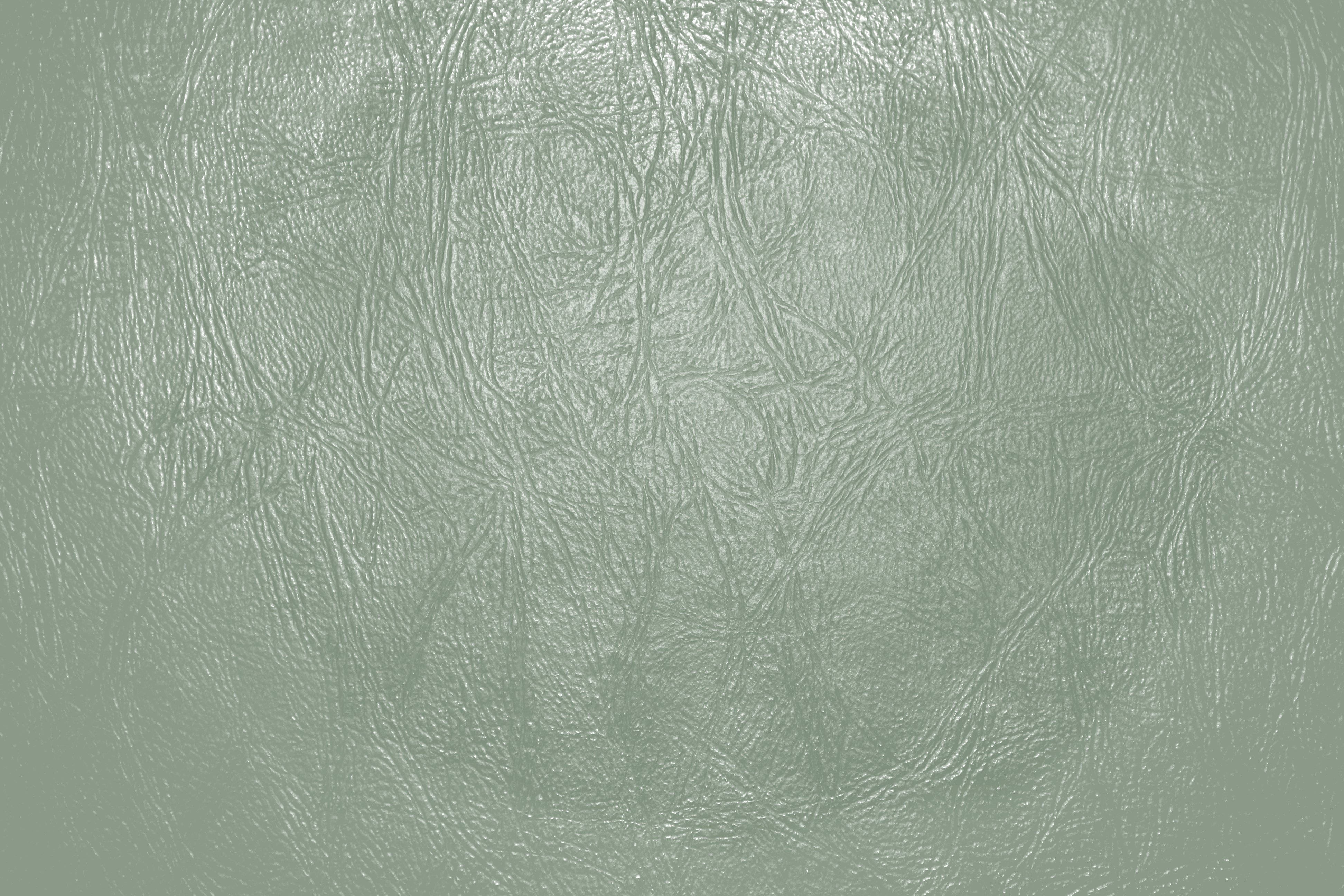 Sagegroen Estetiese Leer Muurpapier