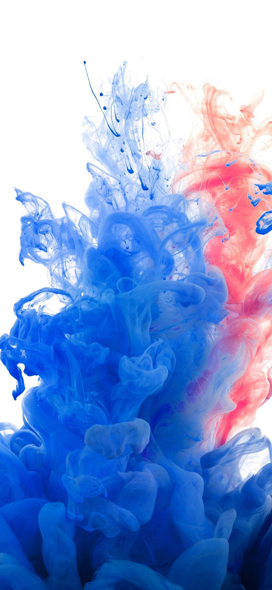 Samsung Galaxy S22 rookkuns agtergrond — Samsung galaxy s22 GIF Muurpapier