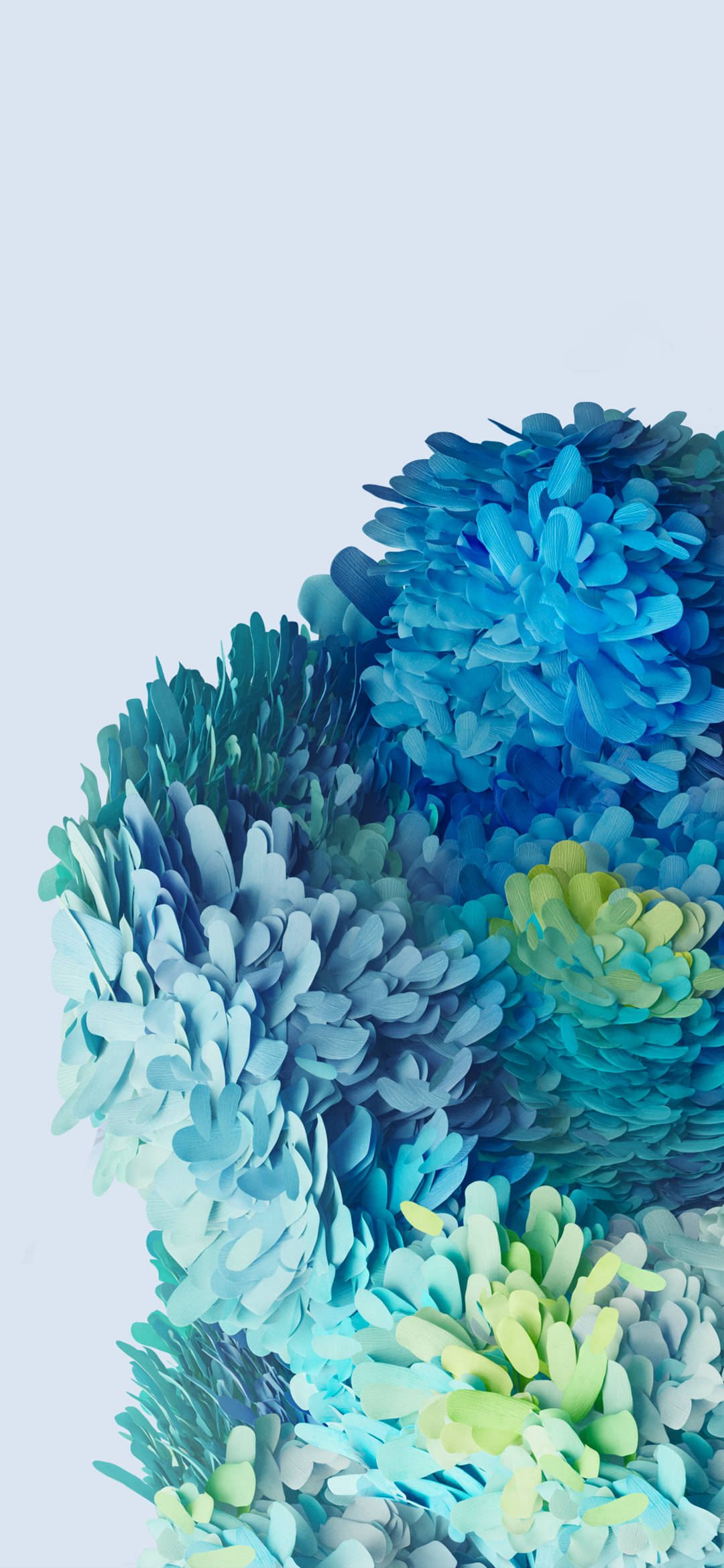 Samsung Galaxy S20 Blou Blomme Muurpapier