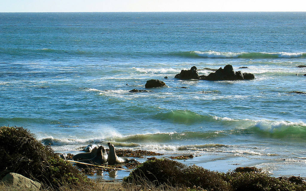 San Simeon Natuurlewe Muurpapier