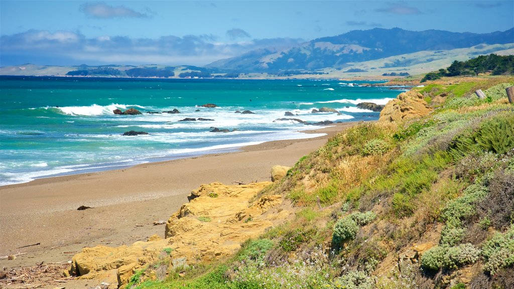 San Simeon Strandblare Muurpapier