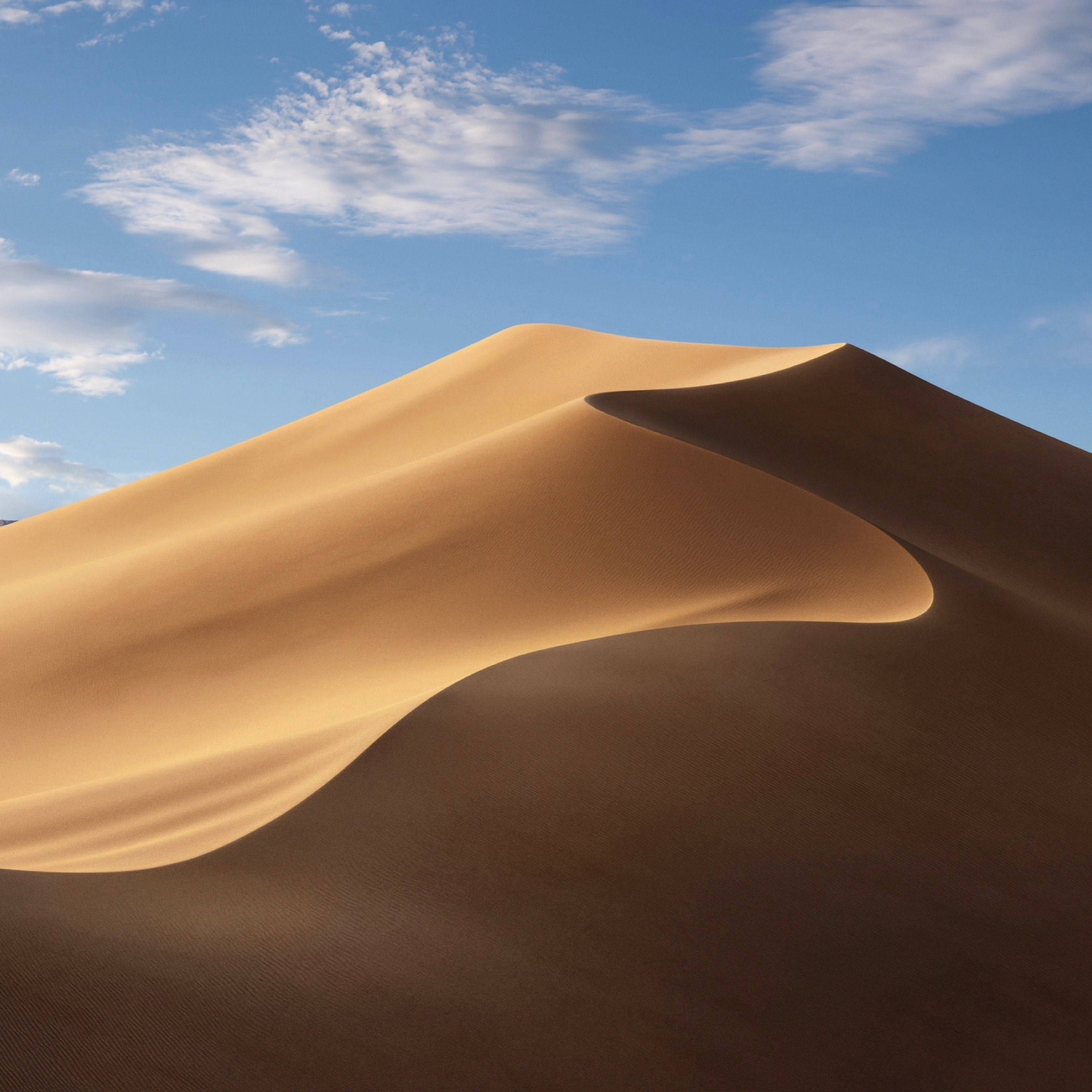 Sand Duine Op Gratis iPad Muurpapier