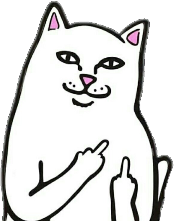 Sassy Cat Meme Gebaar Muurpapier