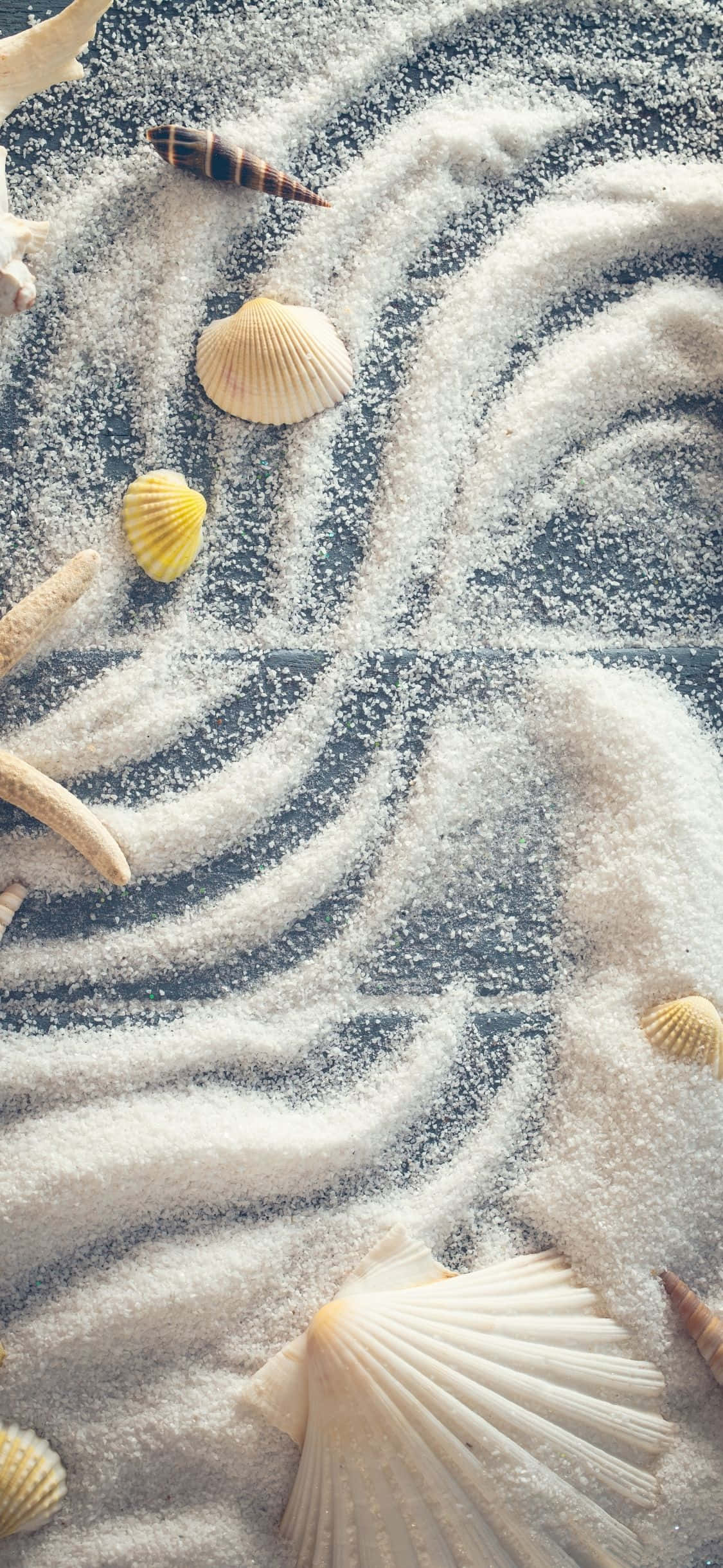 Seeskulpe Met Wit Poeier iPhone X Someragtergrond Muurpapier