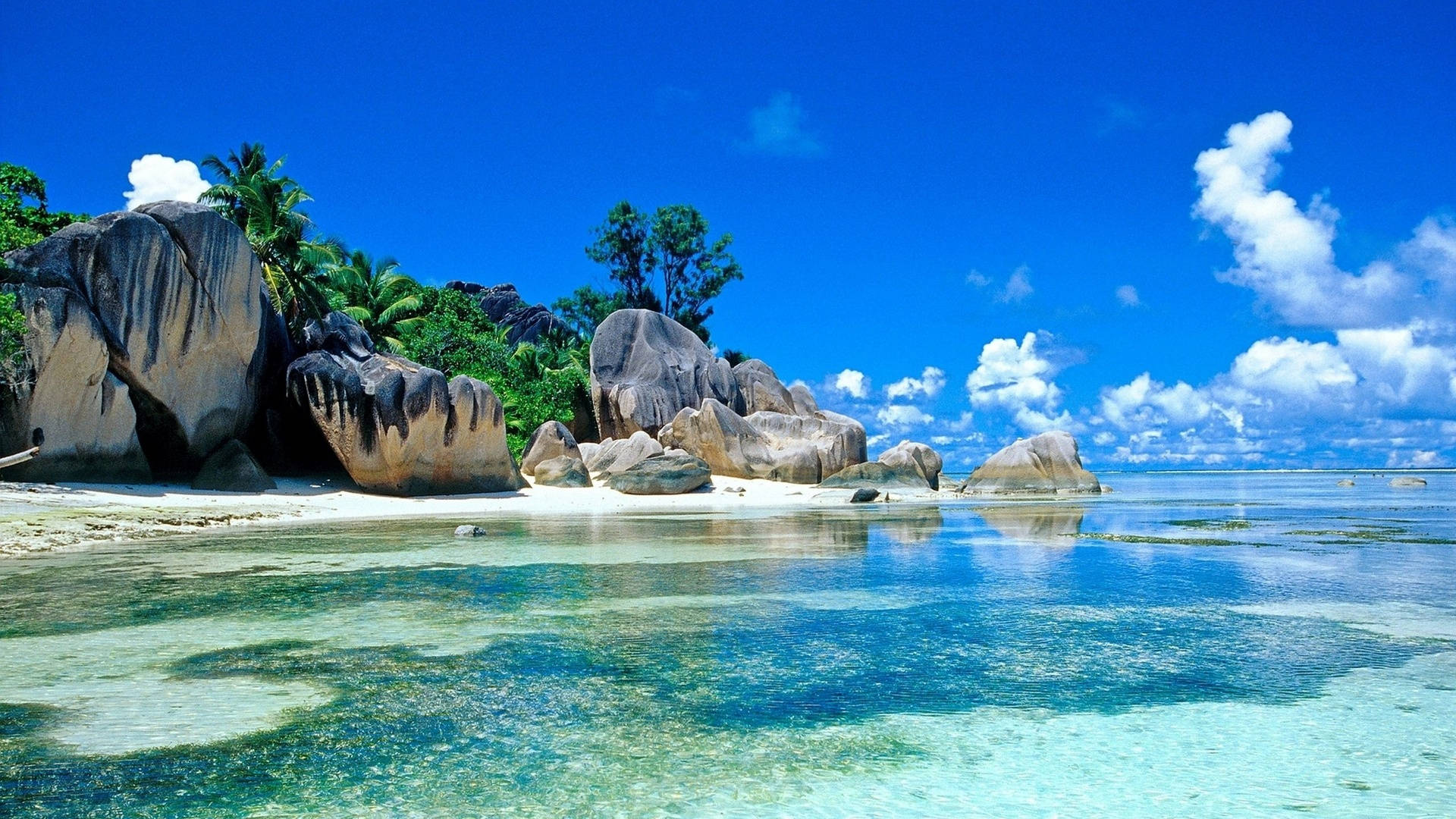 Seychelles Paradys: Strandskermbewaarder