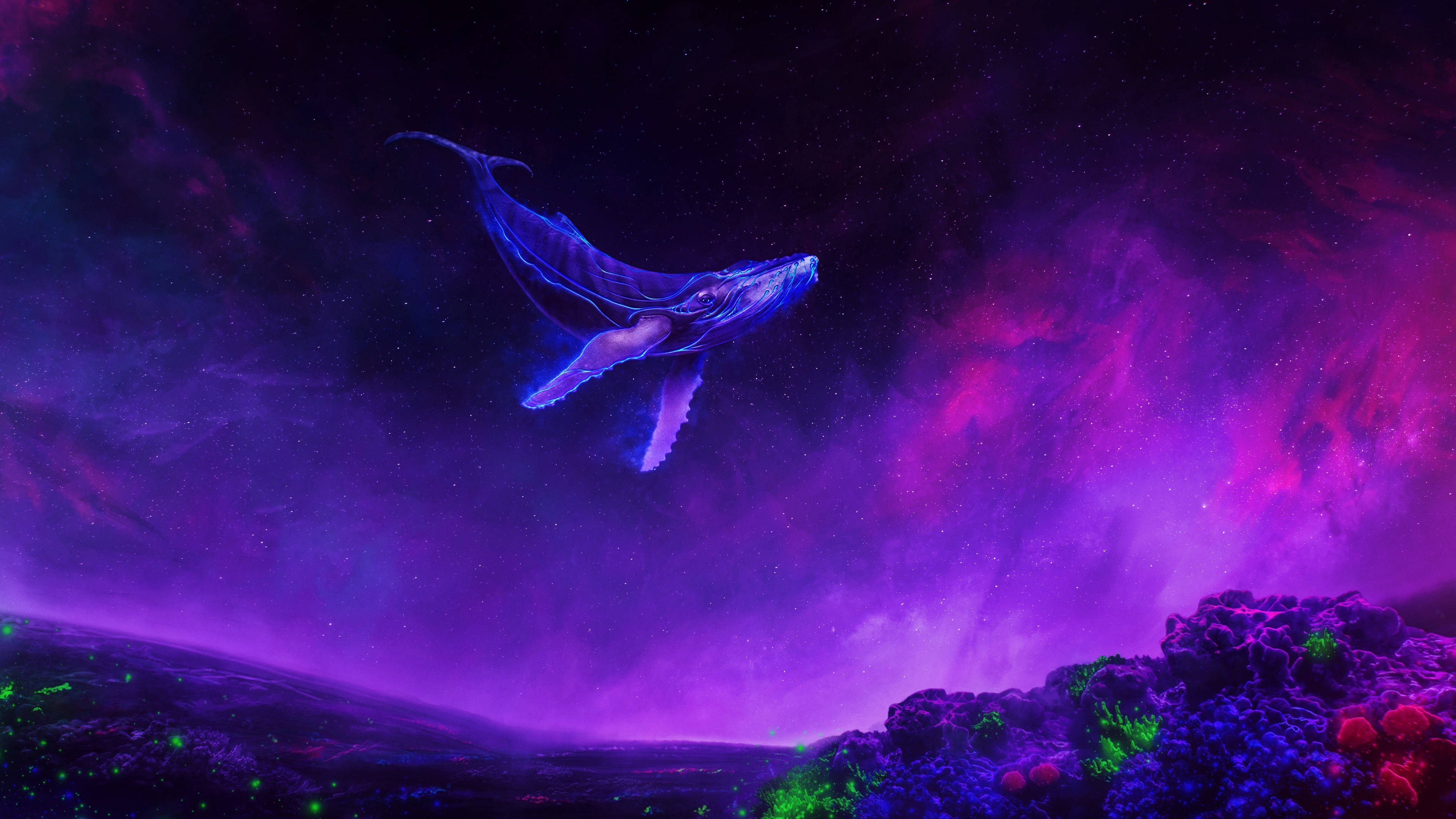 Sielkundige Walvis Sweef 4K Pers Muurpapier