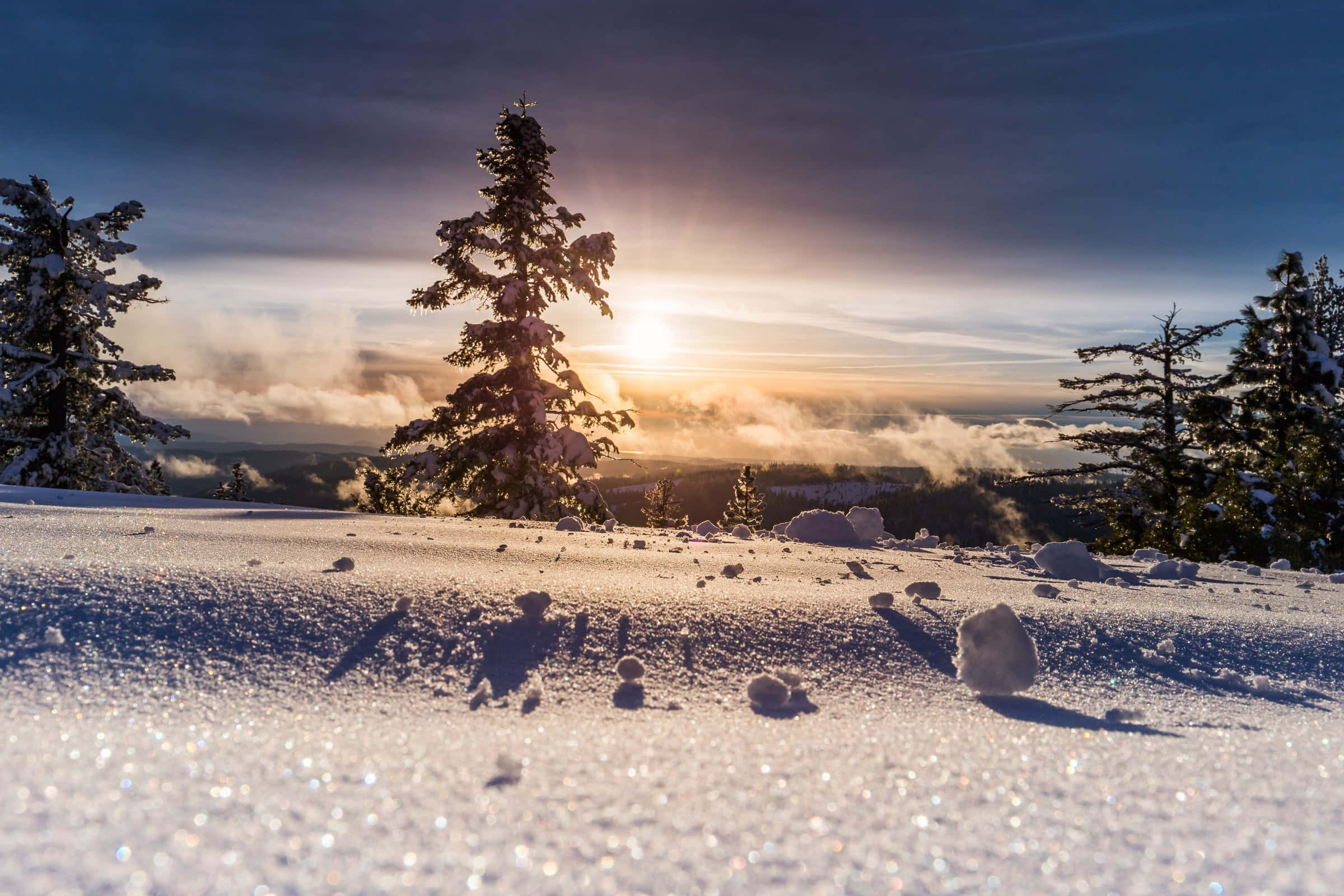 Silhouet Bome en Sneeuoppervlak Agtergrond Muurpapier