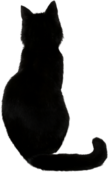 Silhouet van Swart Kat Muurpapier