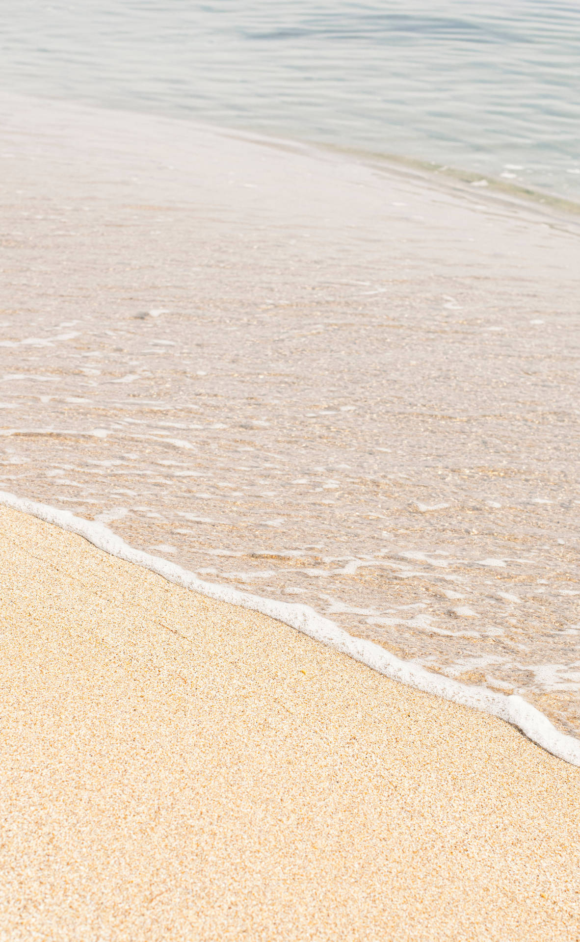 Skoot van Beige Minimalistiese Sand