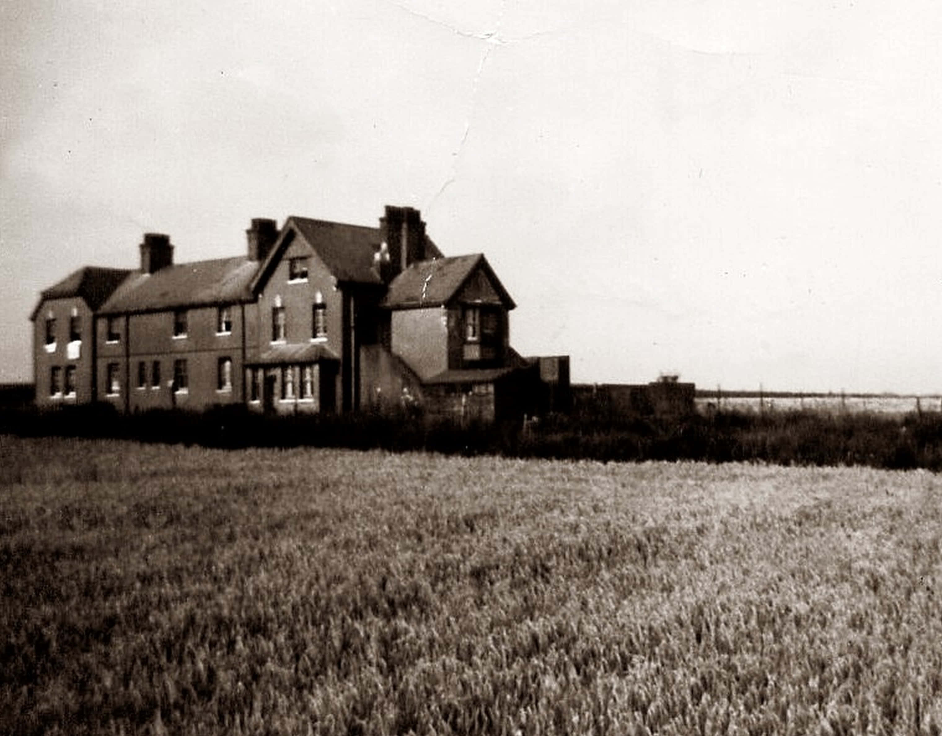 Skrikwekkende Vintage Huis Prent Muurpapier