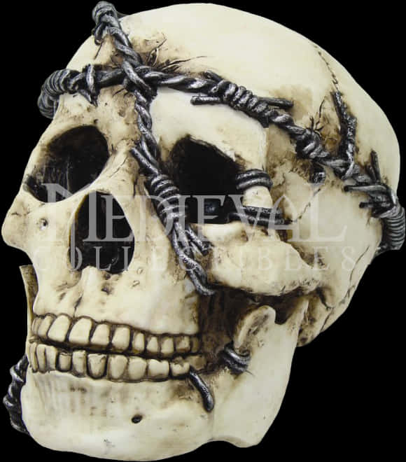 Skull met Doringdraad Versiering Muurpapier