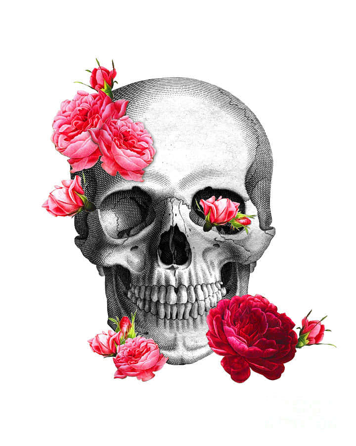Skull prente Muurpapier