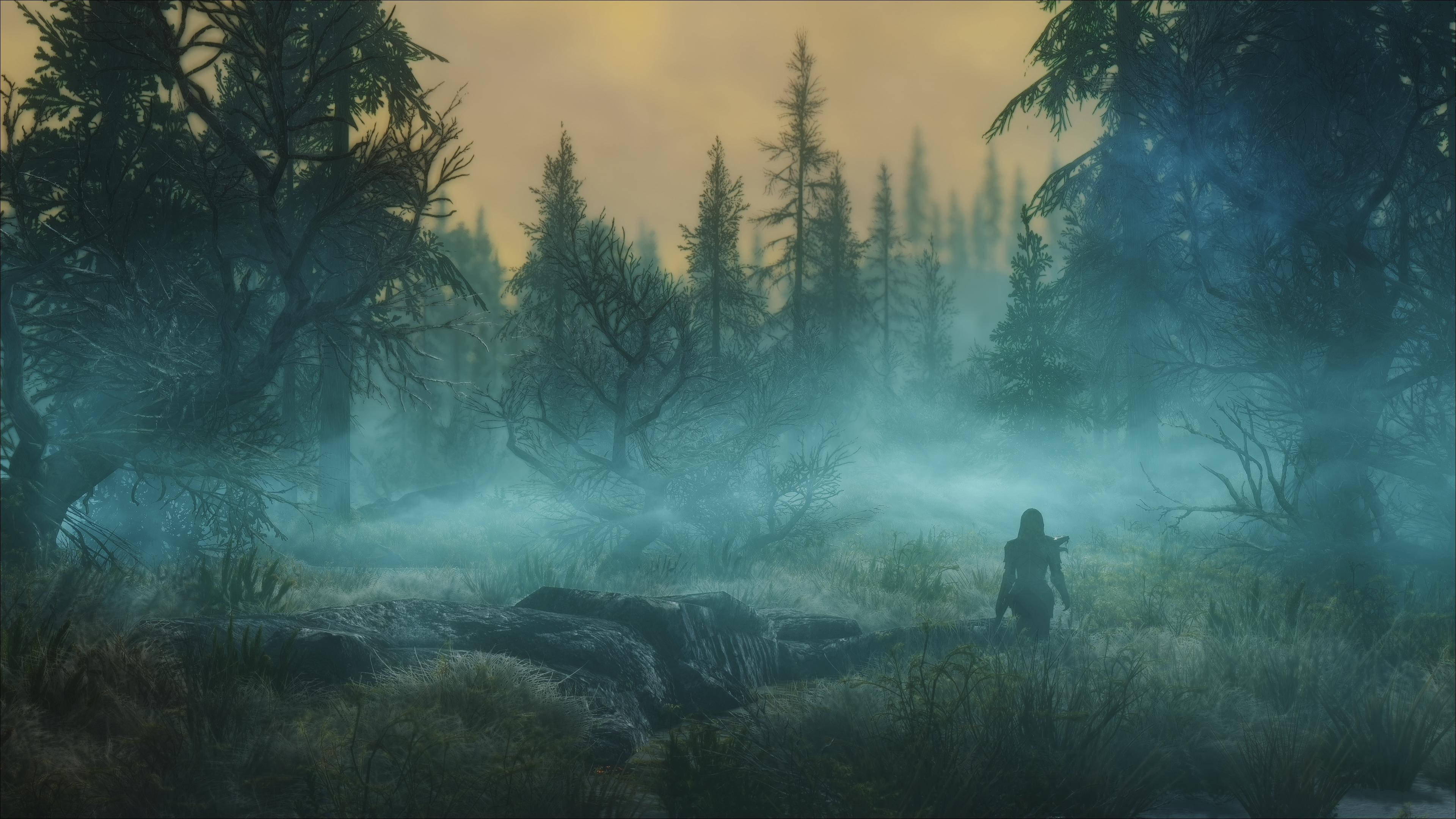 Skyrim Ultra HD Misagtige Donker Bos Muurpapier