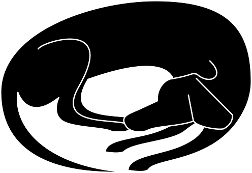 Slaaphond Silhoeët-omtrek.JPG Muurpapier