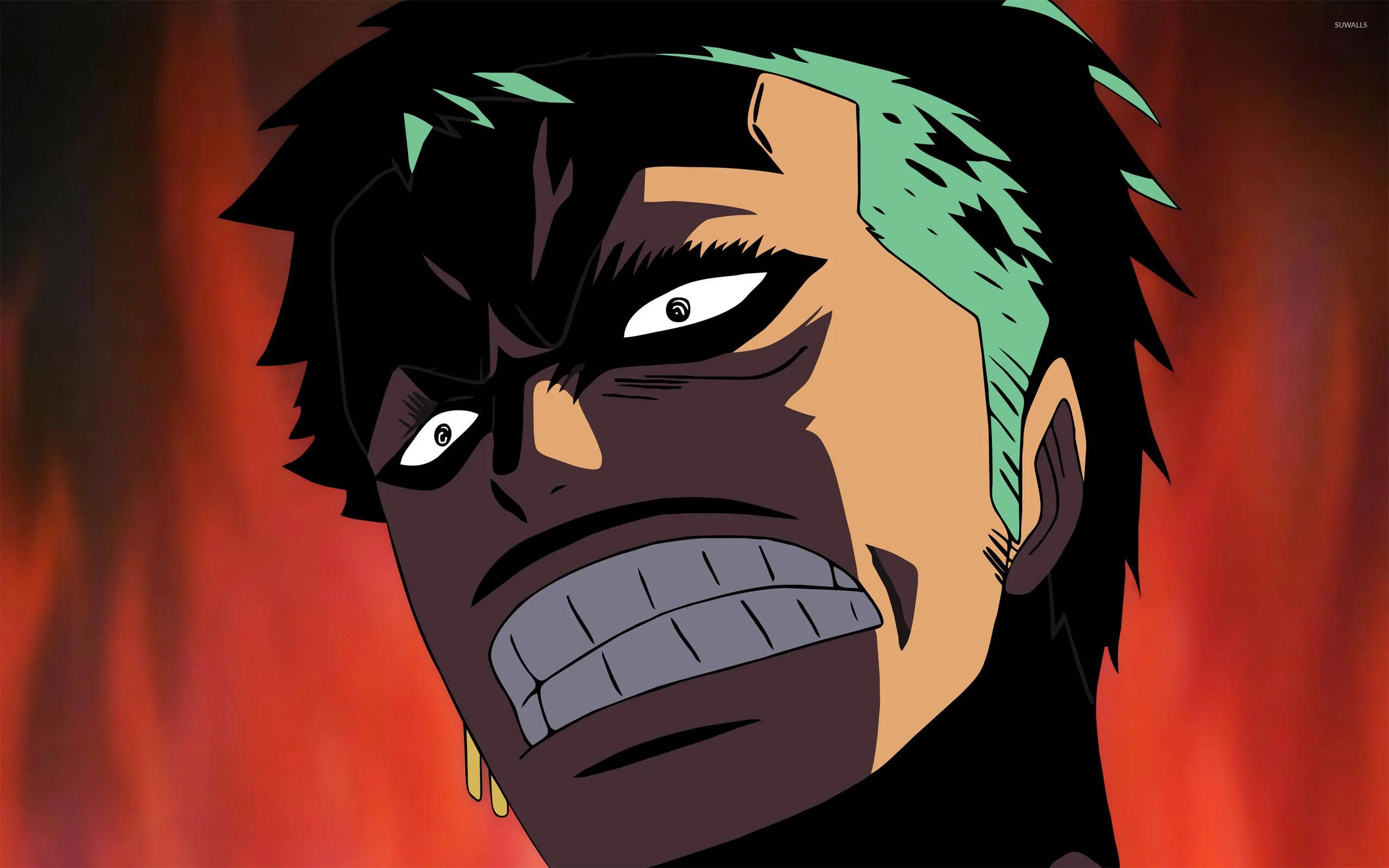 Snaakse Anime One Piece Zoro Muurpapier