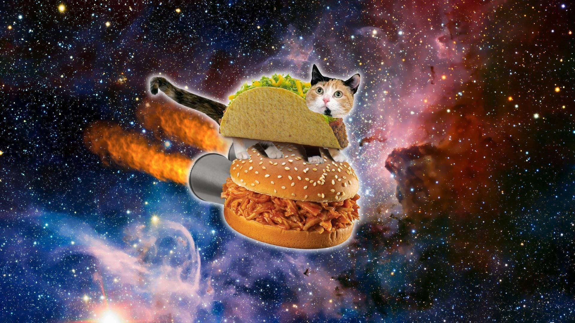 Snaakse Kat Burger in die Ruimte Muurpapier