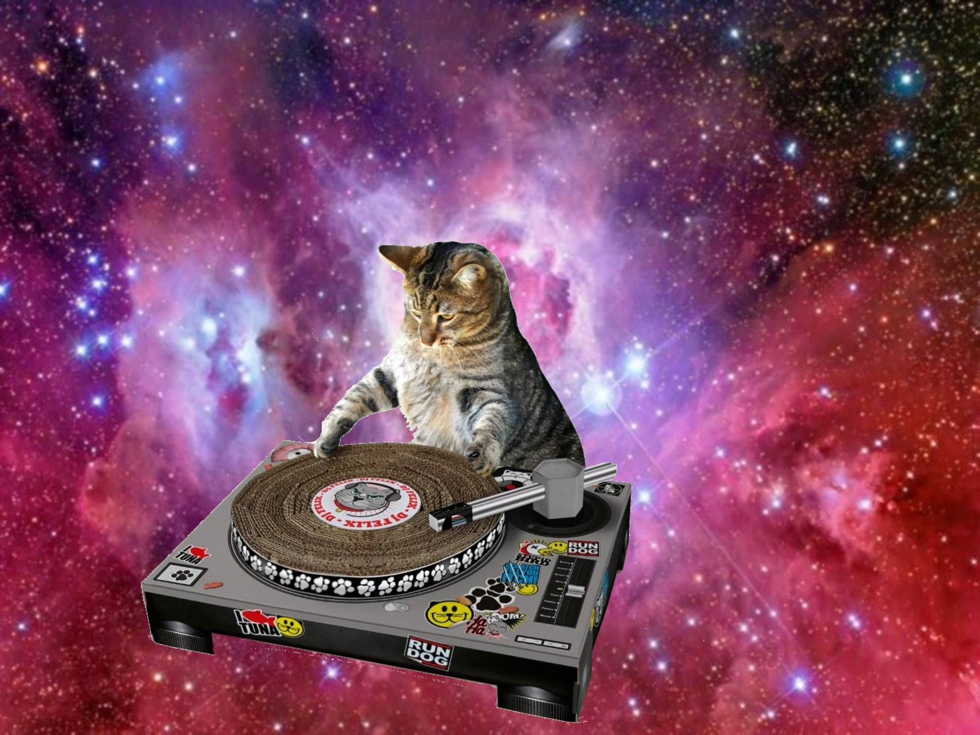 Snaakse Kat DJ Speel in die Ruimte Muurpapier