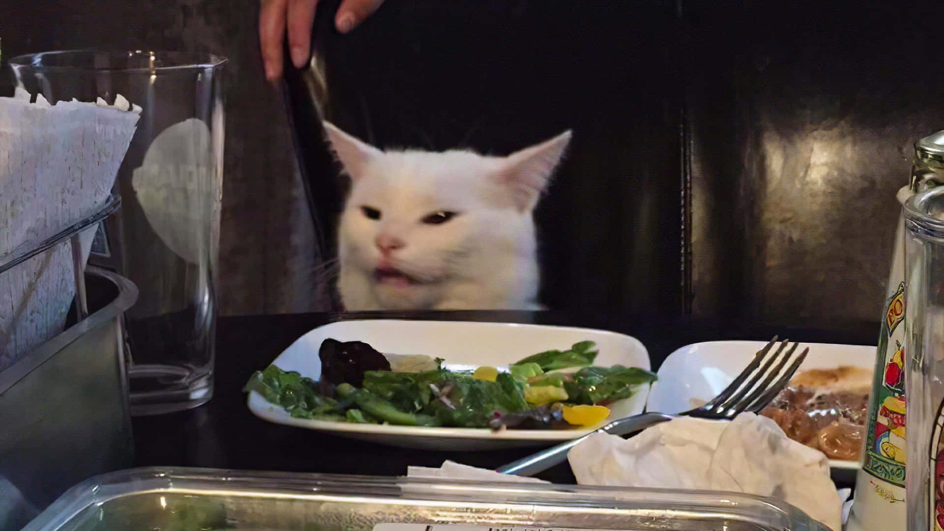 Snaakse Meme Kat Op 'n Eetkamertafel Foto Muurpapier