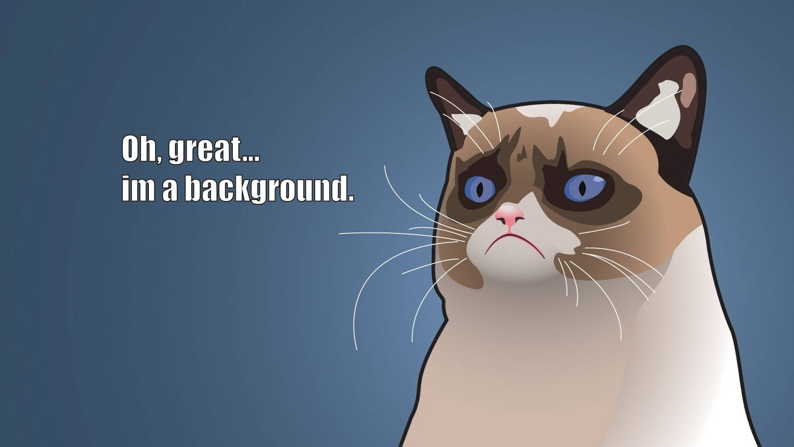 Snaakse Siamese Spotprentkat Meme Muurpapier