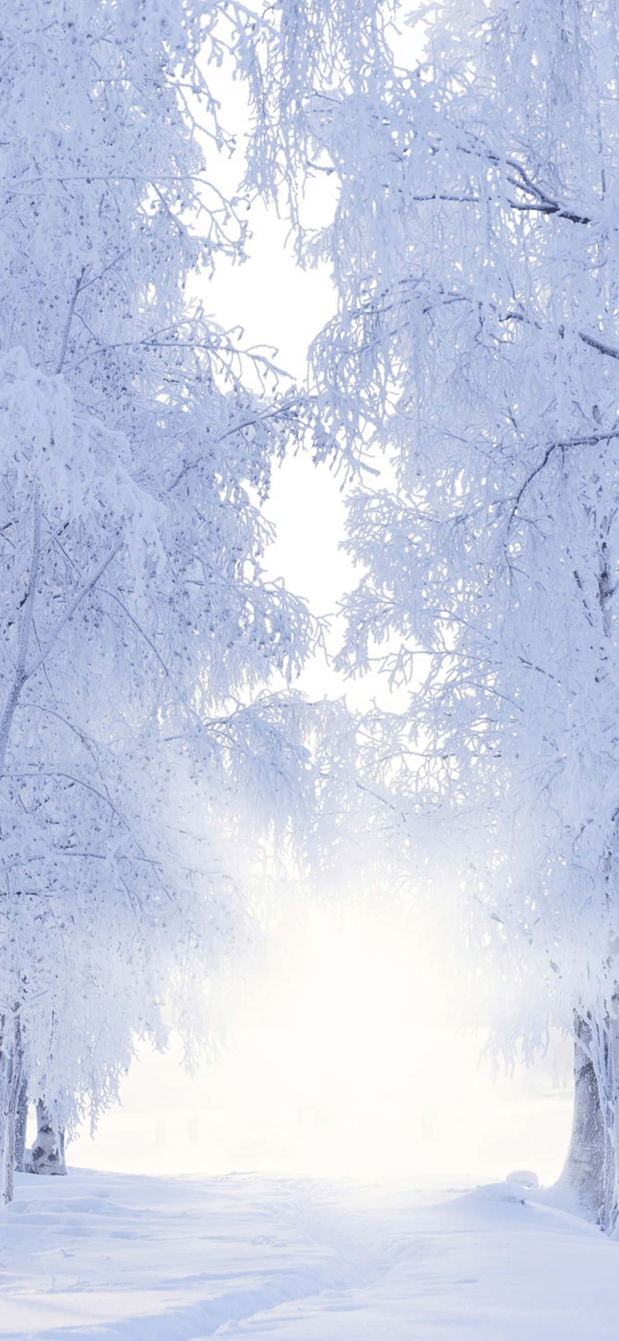 Sneeu Pad iPhone XS Max Winter Agtergrond Muurpapier