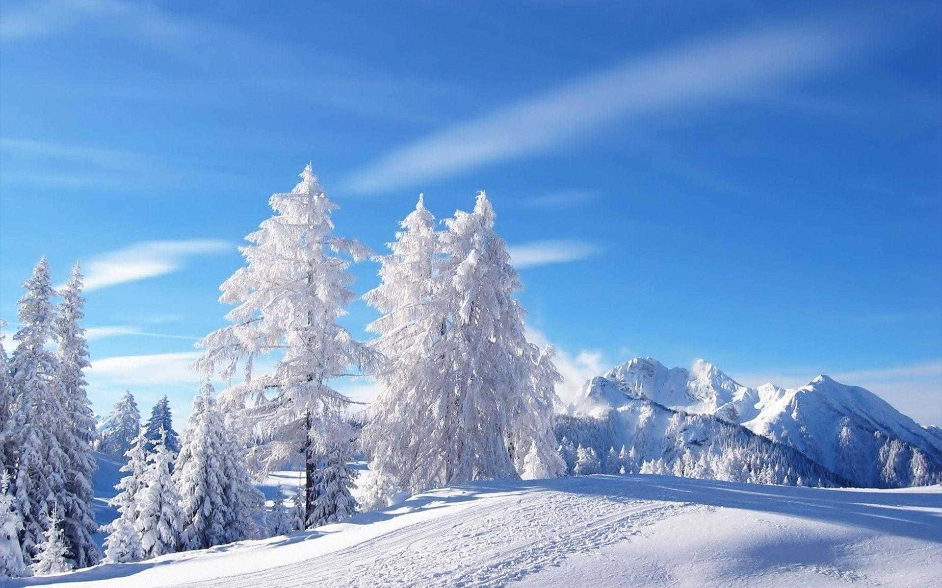 Sneeubedekte Berg Winter Wonderland Agtergrond Muurpapier