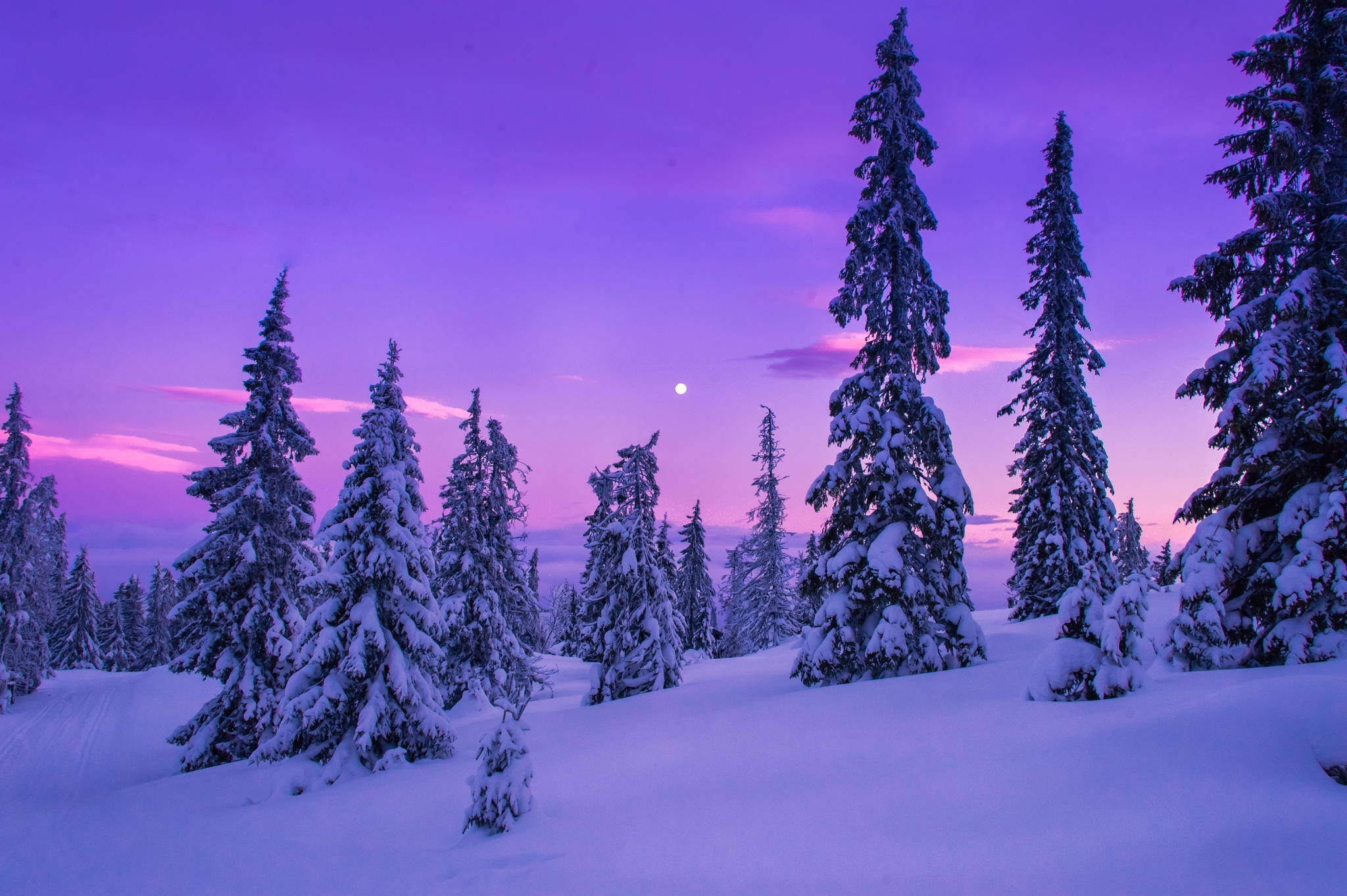Sneeuw Aandskemering Estetika Muurpapier