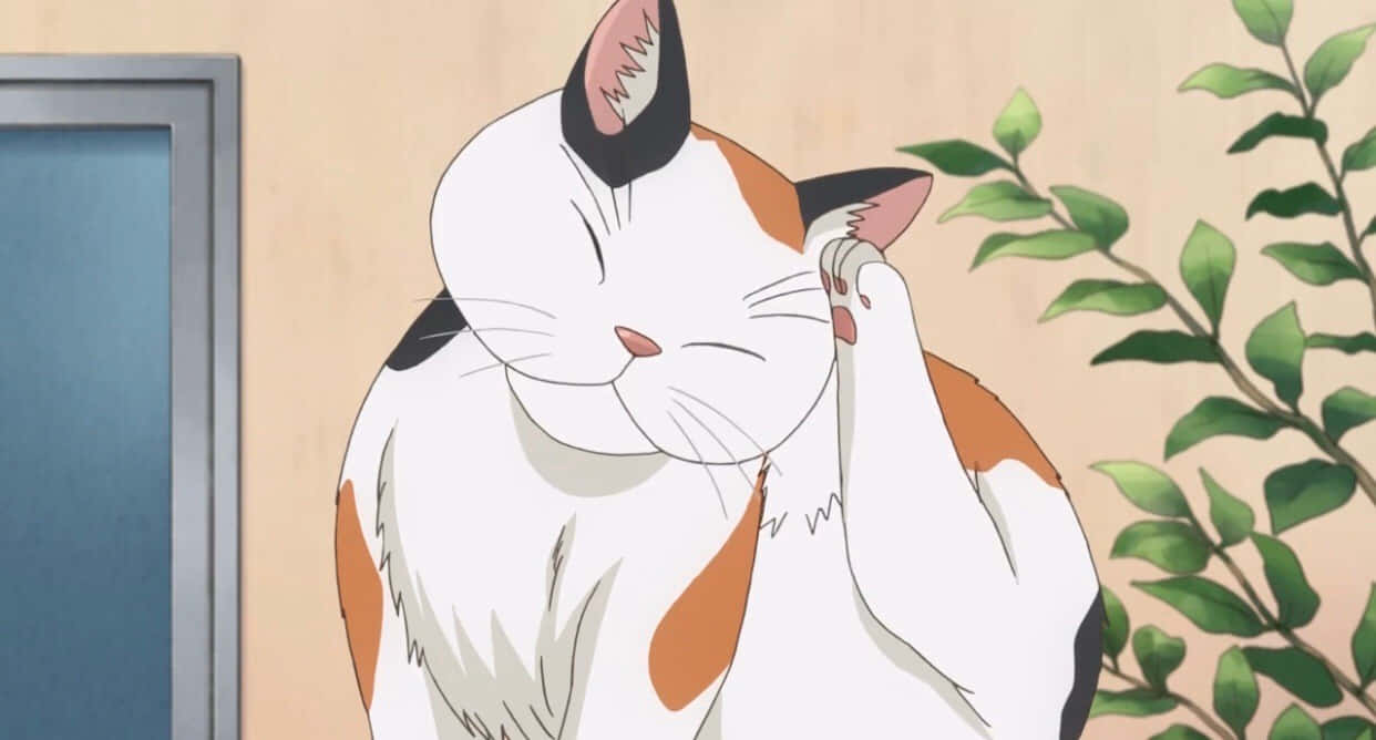 So 'n oulike Anime Kat met bril! Muurpapier