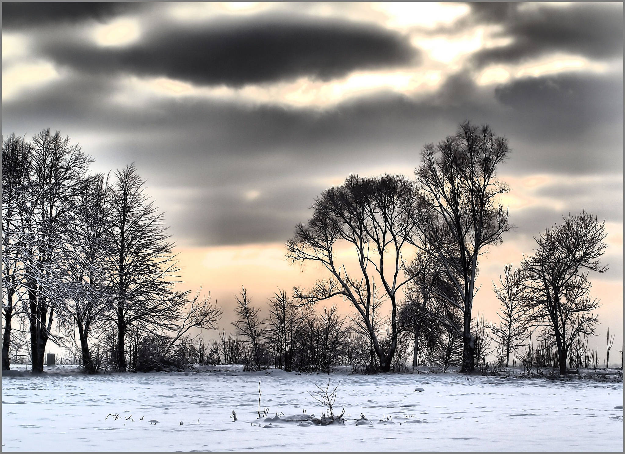 Somber Winter - Die Skoonheid Binne die Stilte Muurpapier