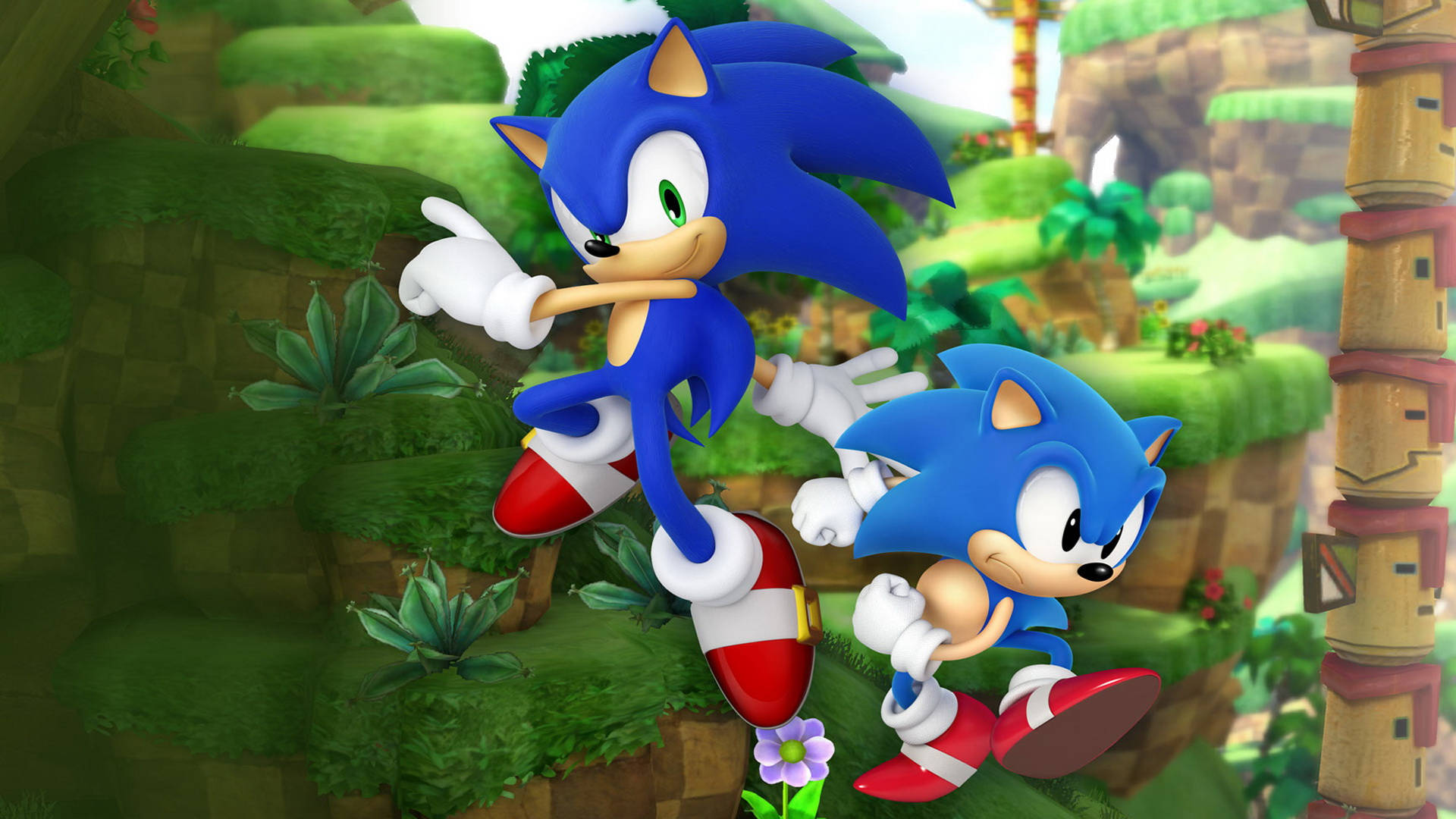 Sonic die Krimpvark en Sonic die Krimpvark wat in die gras hardloop Muurpapier