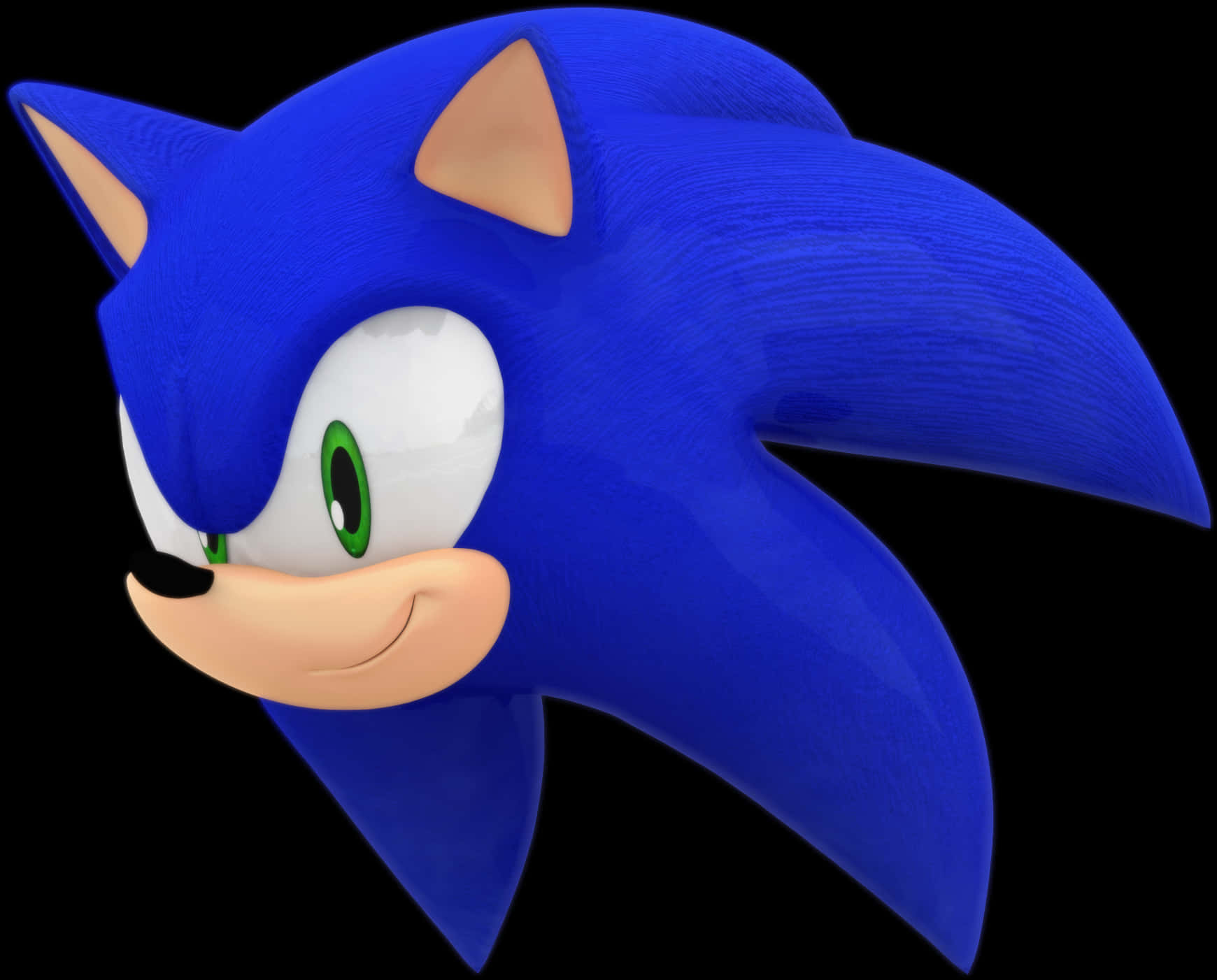 Sonic Die Ystervark Profielaansig Muurpapier