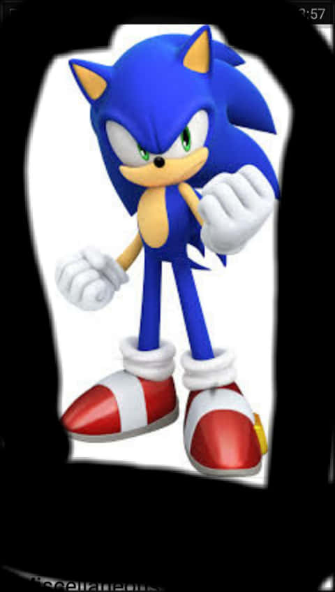 Sonic die Ystervark Staanhouding Muurpapier
