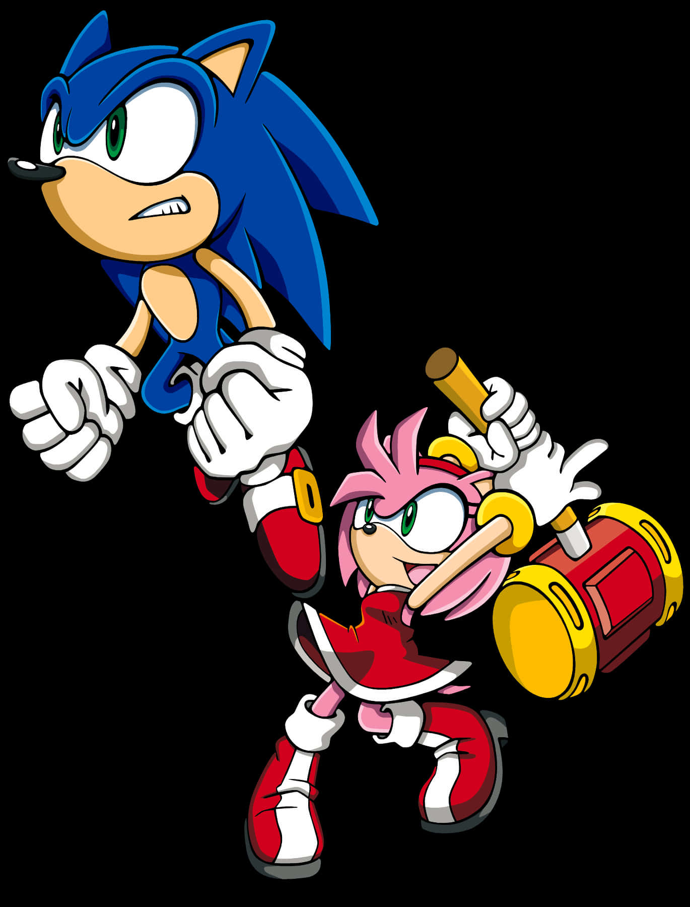 Sonic en Amy Rose Karakters Muurpapier