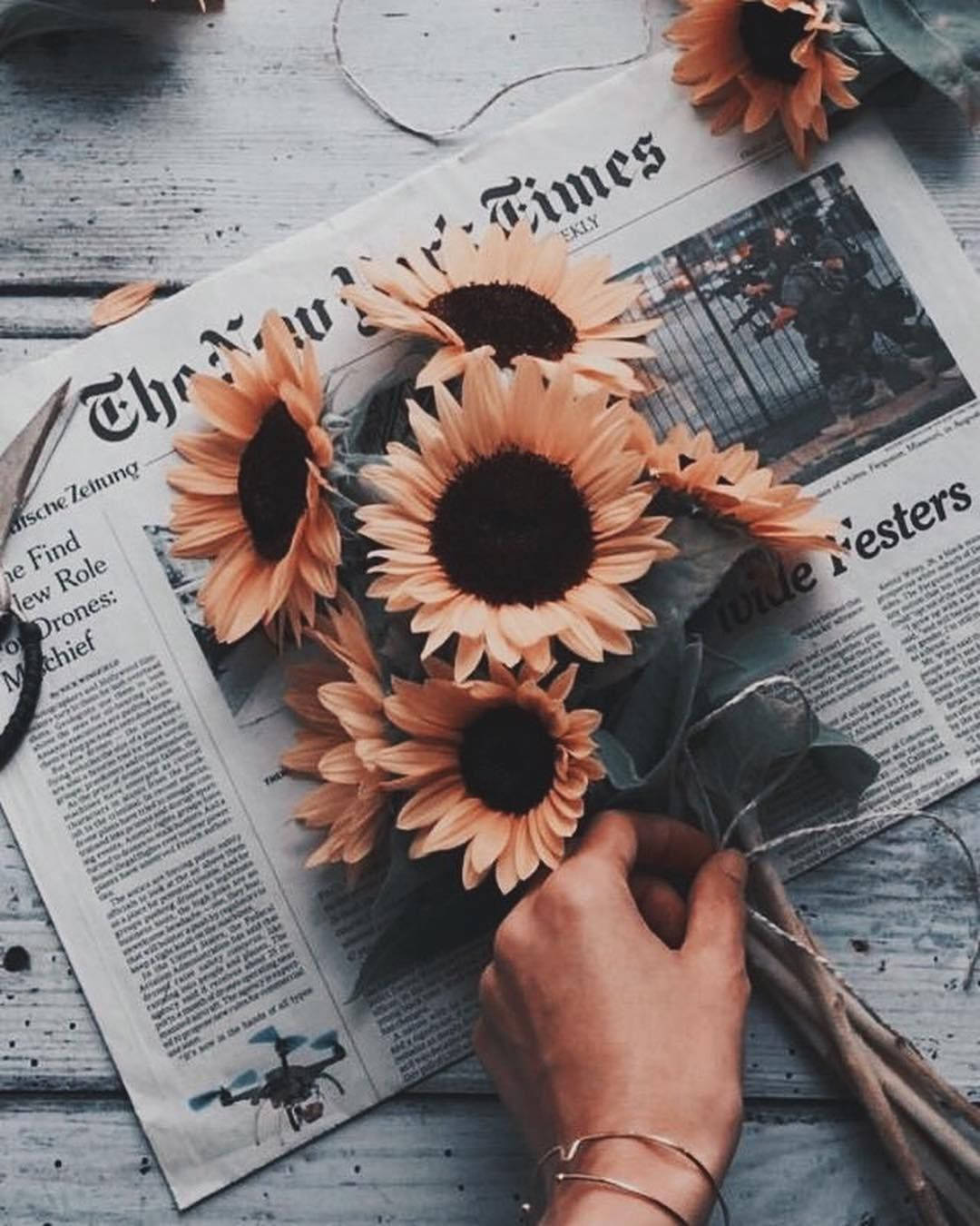 Sonneblomme Op Koerant Tumblr Estetika Muurpapier