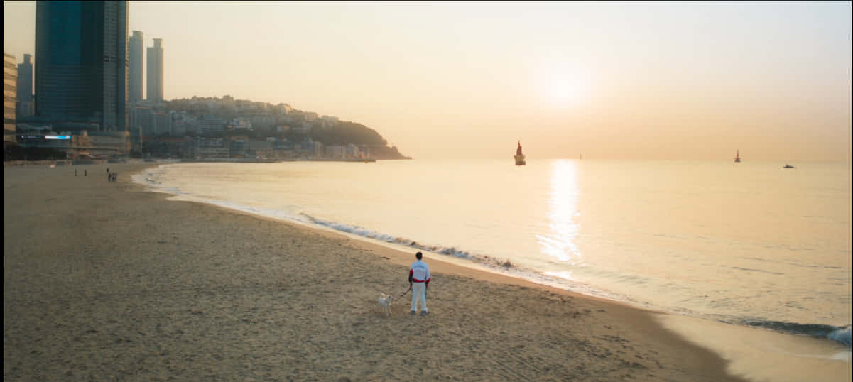 Sonsondergang op die Stedelike Strand Muurpapier