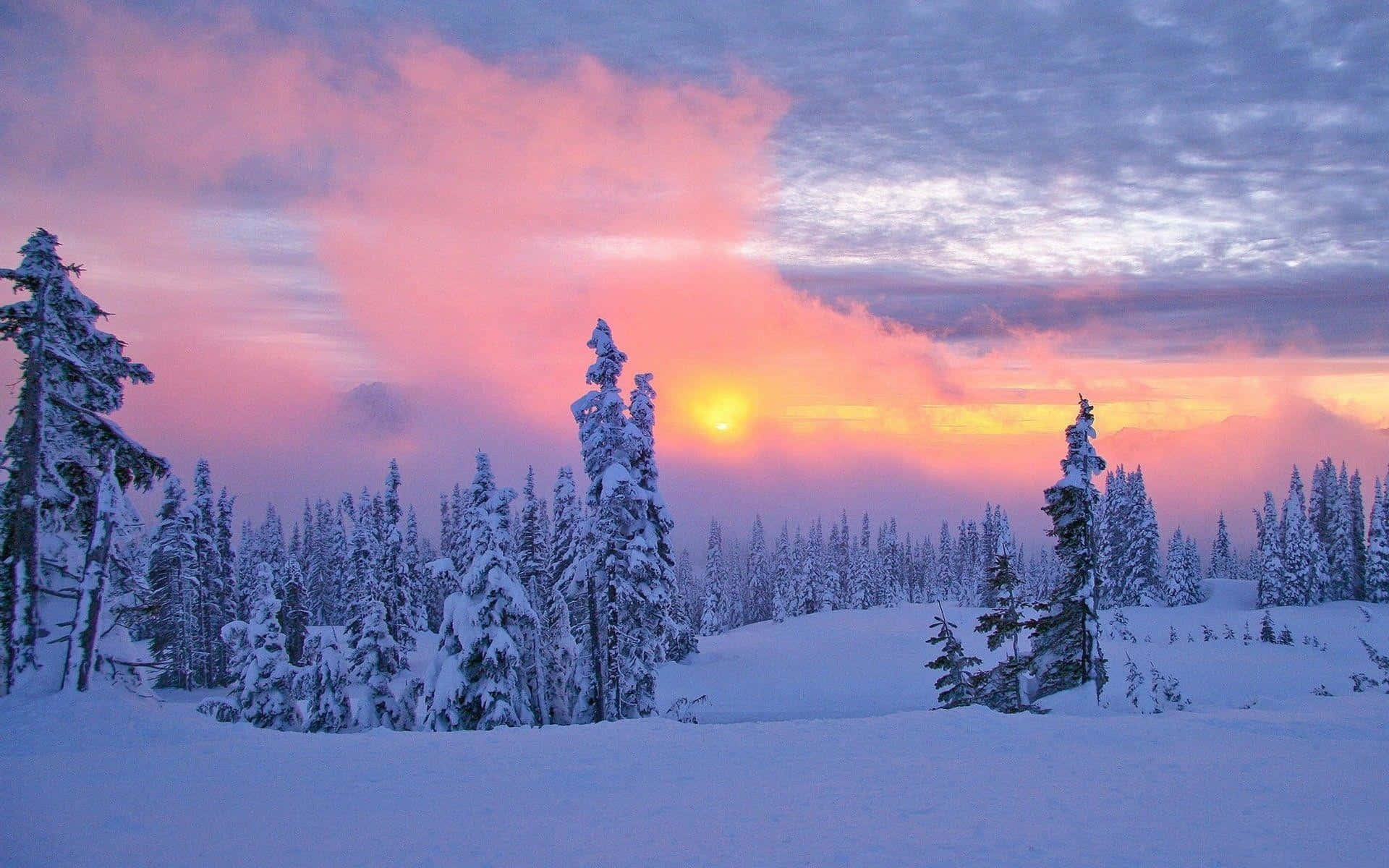 Sonsondergang op Winter Wonderland Agtergrond Muurpapier