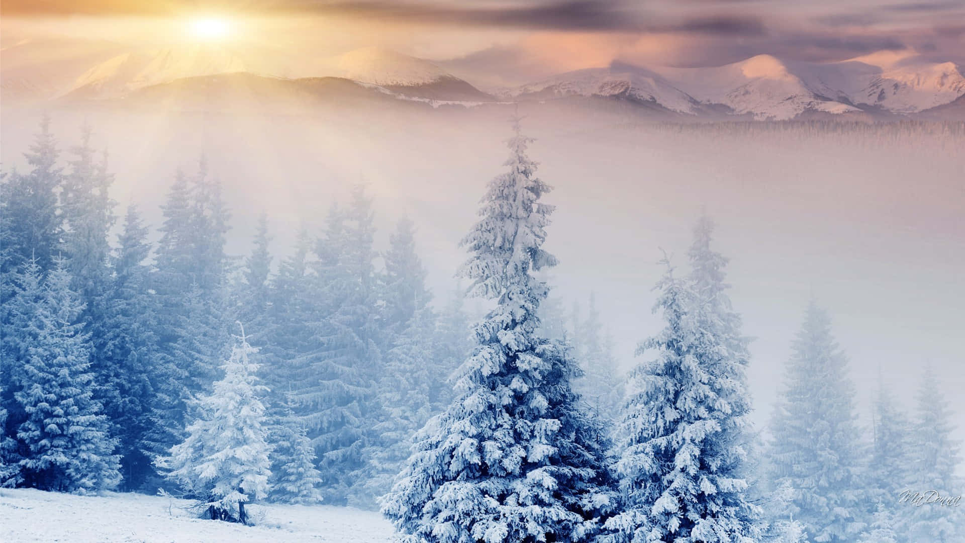 Sonsopkoms bo Winter Wonderland Agtergrond Muurpapier