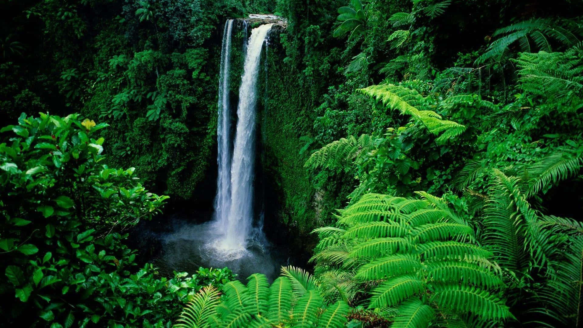 Sopoaga Waterval Groen Bureaublad Muurpapier