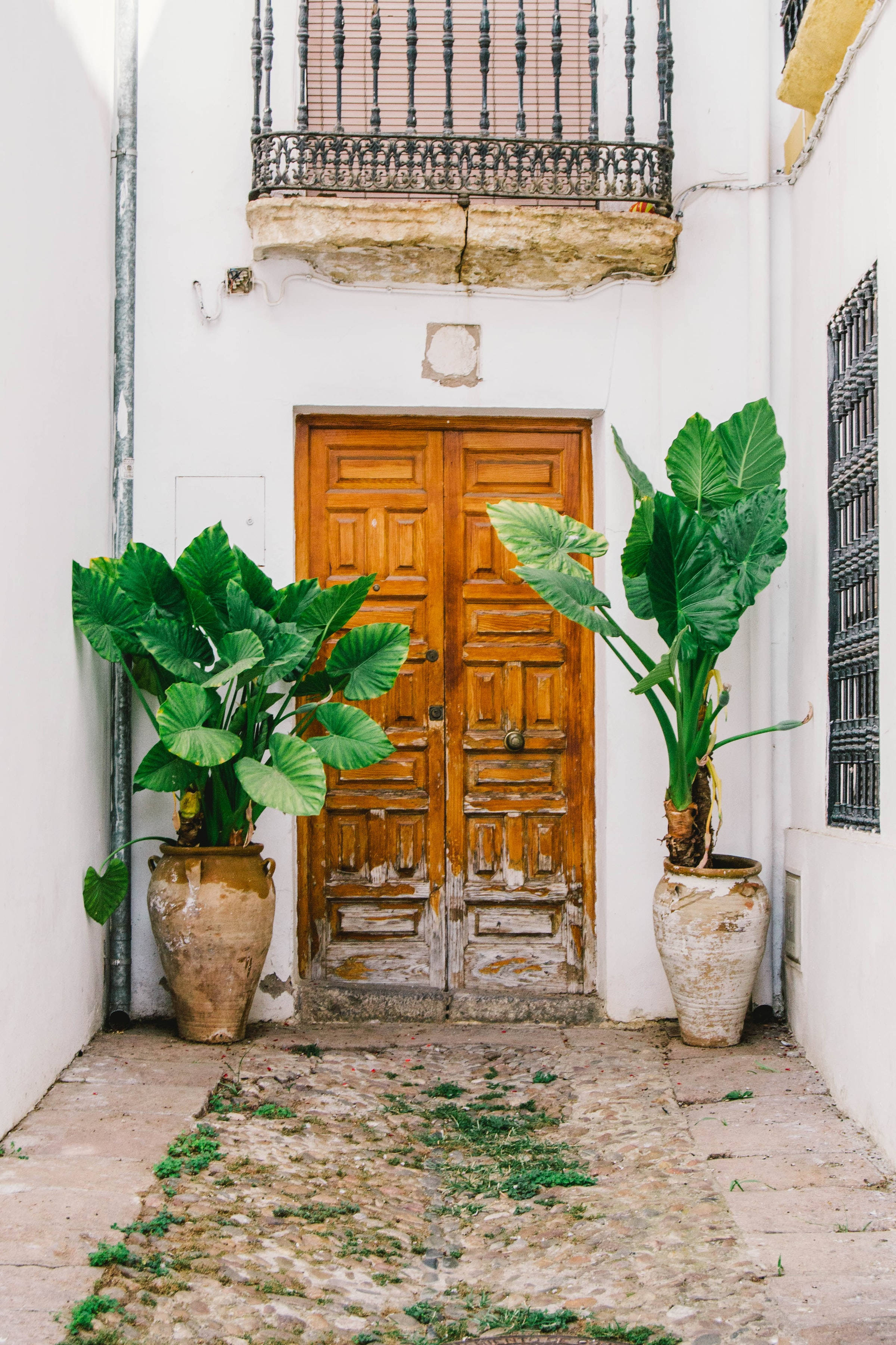 Spaans-styl houtdeur met planters Muurpapier