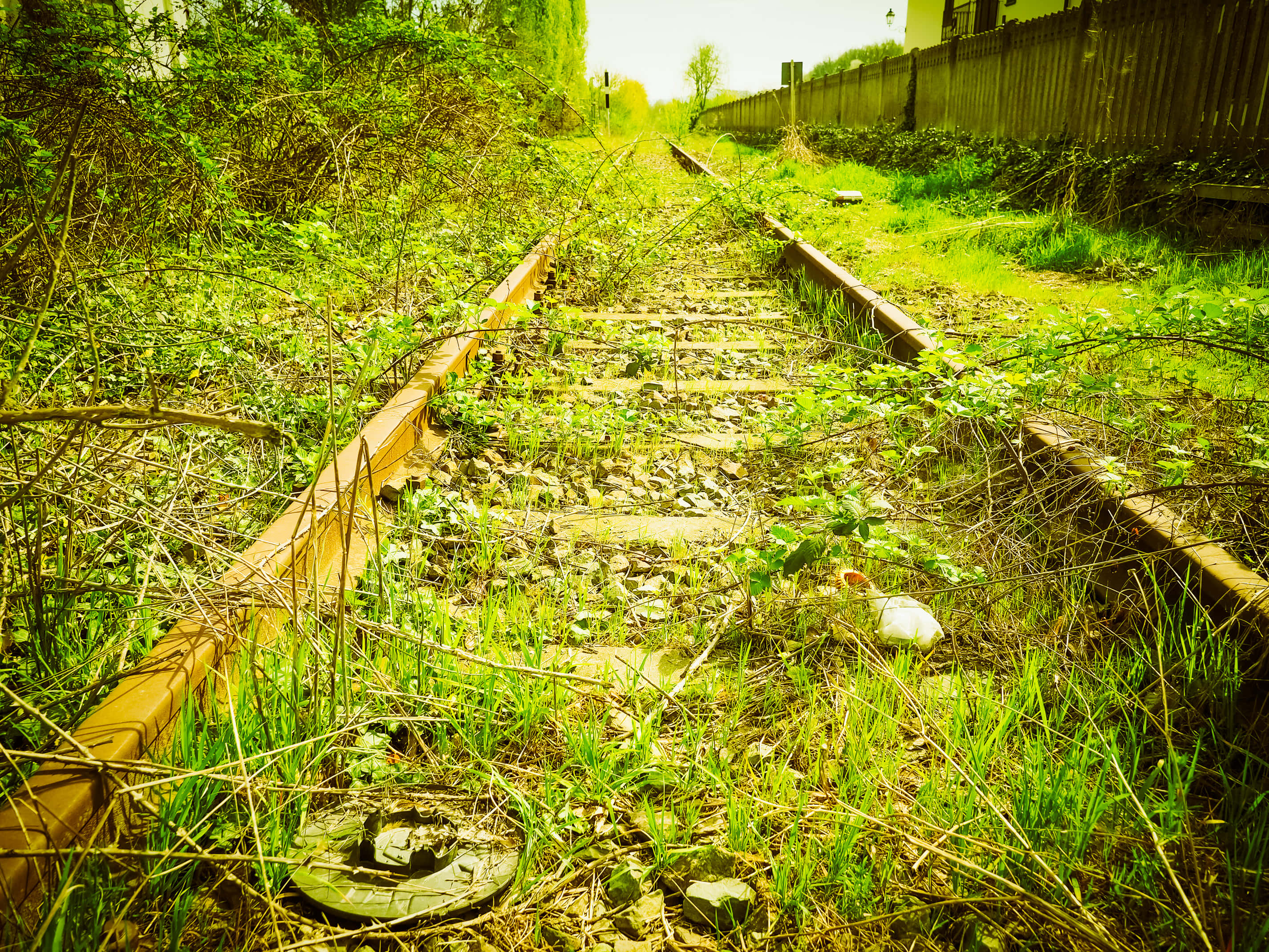 Spoorweg Plantegroei Prent Muurpapier