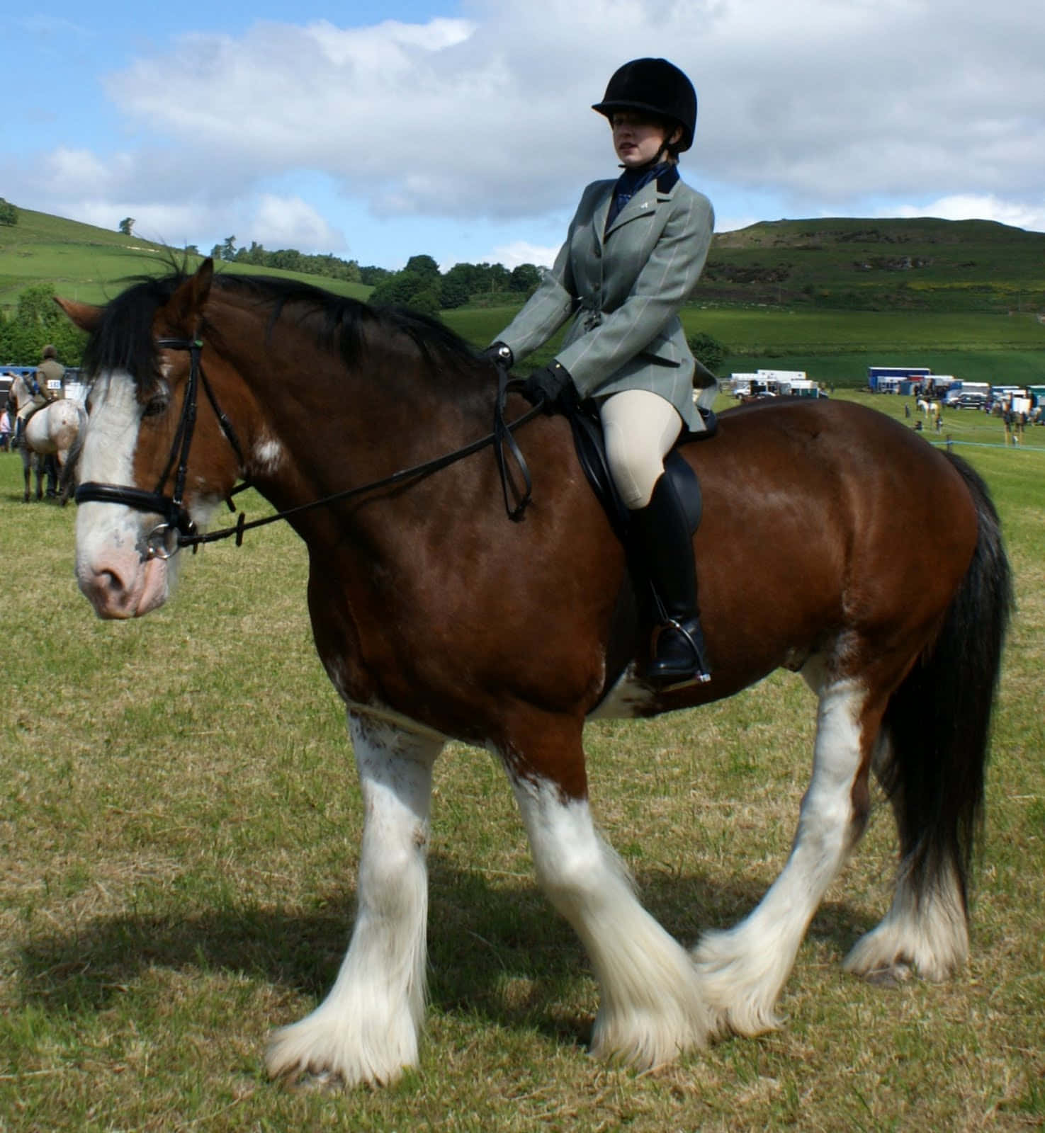 Staan Sterk, 'n Majestueuse Clydesdale Perd Muurpapier