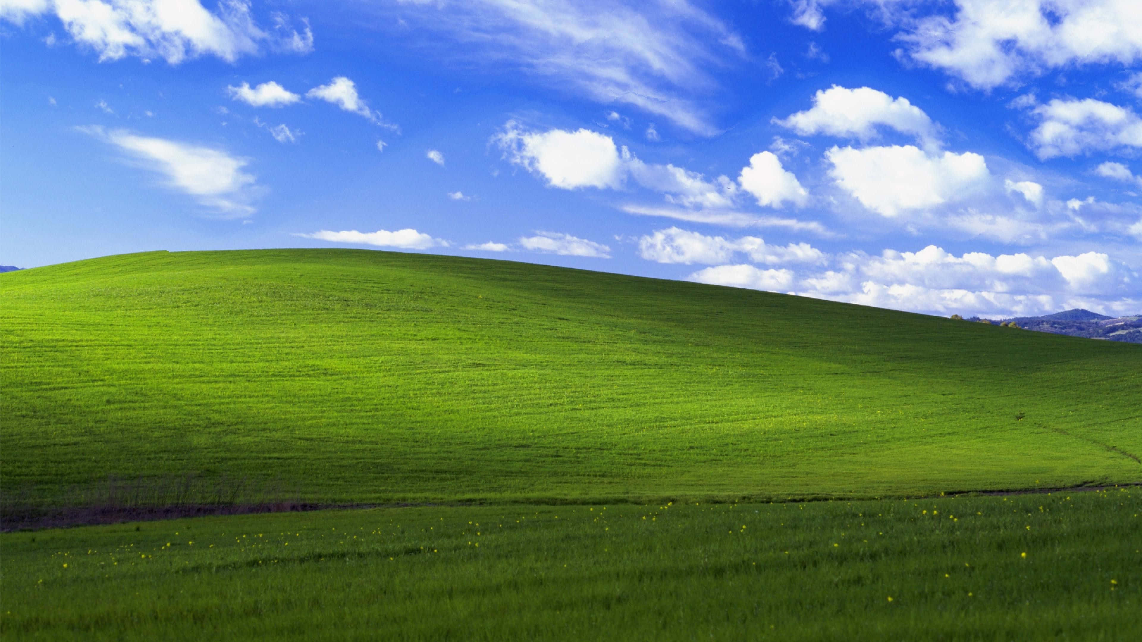 Standaard Bliss Windows 1 Muurpapier