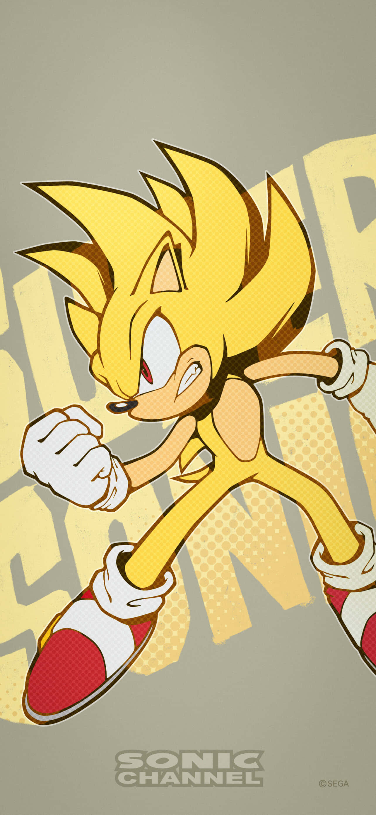 Stel bekend Super Sonic, die wêreld se vinnigste krimpvark. Muurpapier