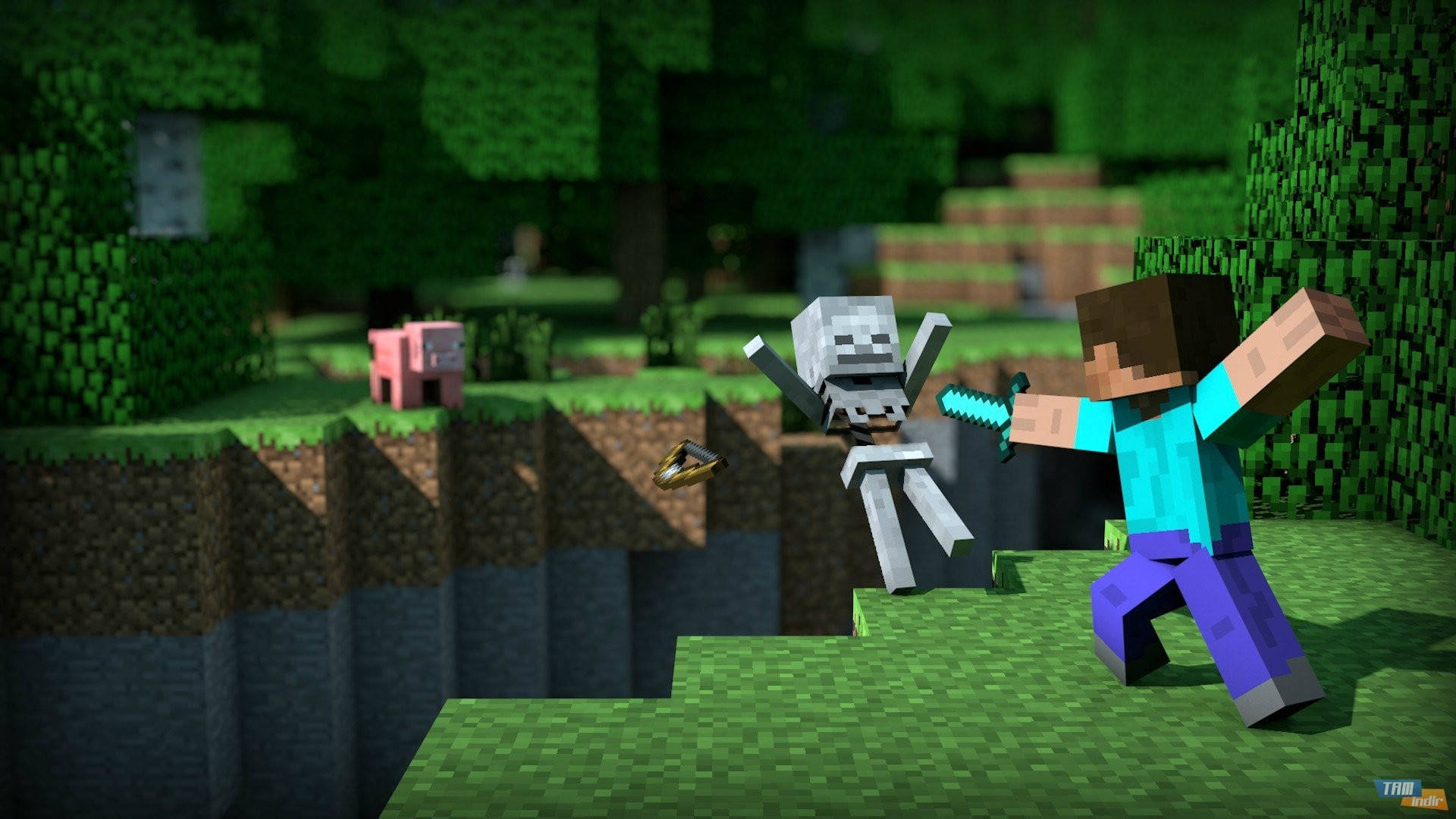 Steve veg teen 'n geraamte in Minecraft HD Muurpapier