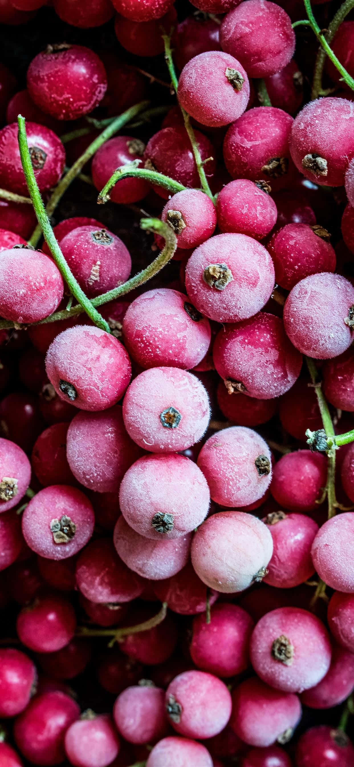 Gemengde Vars Vrugte Stillewe Muurpapier