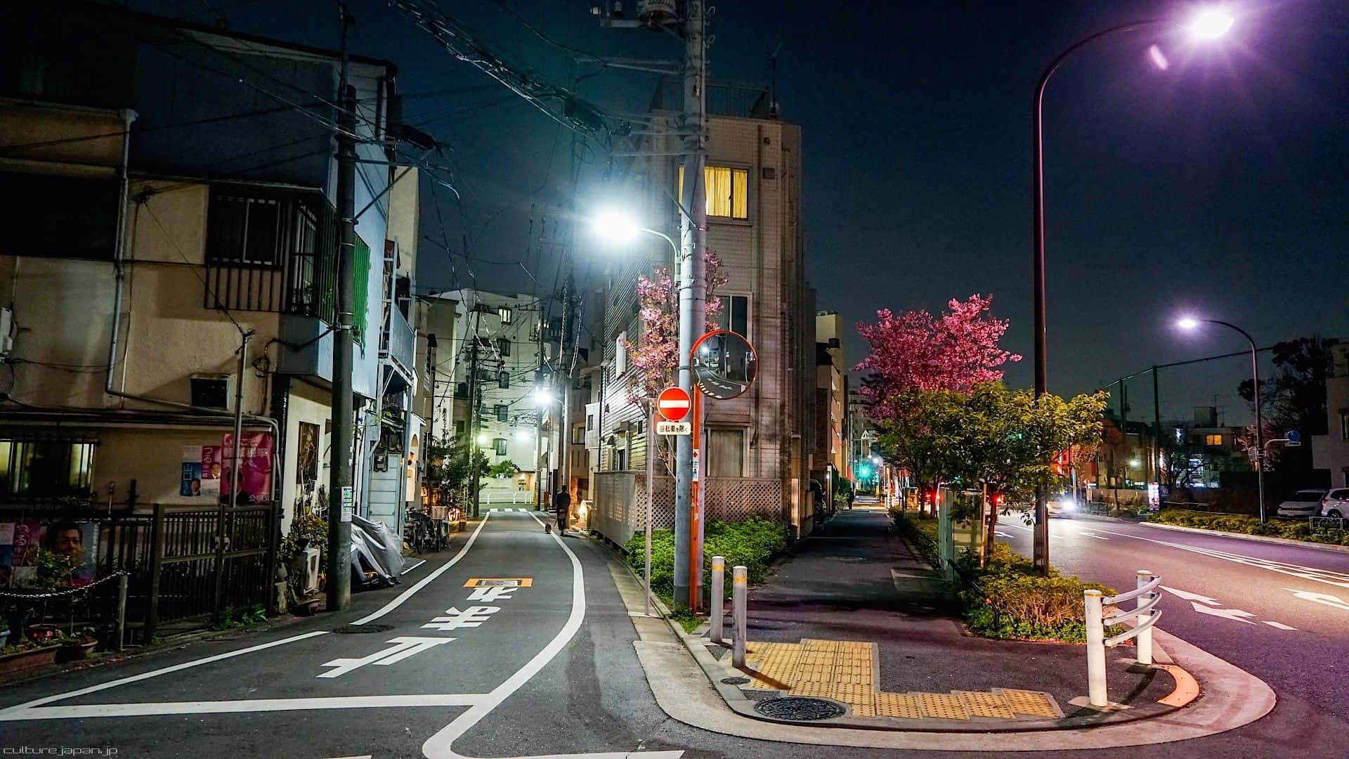 Straatligte op die Pad in Japan Muurpapier